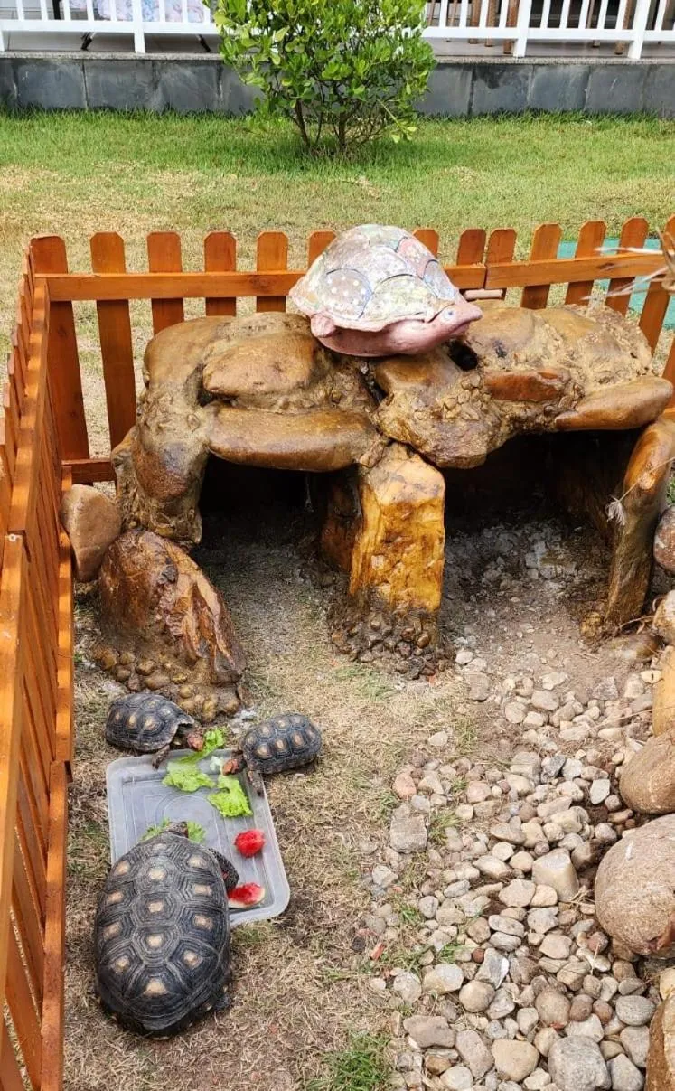 Garden in Atlantic Palace Apart-Hotel