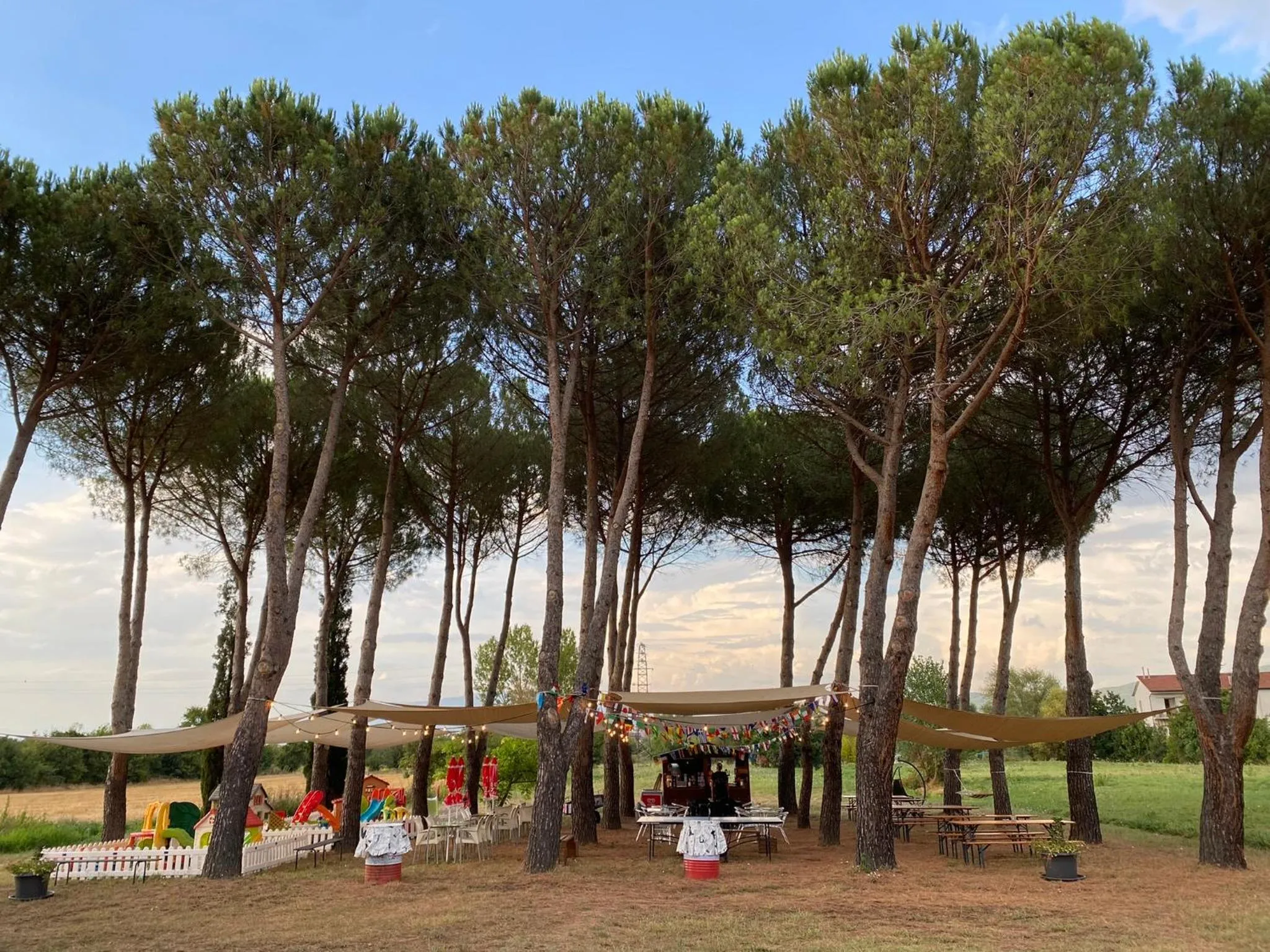 Day in Jenny's Country Dreamhouse