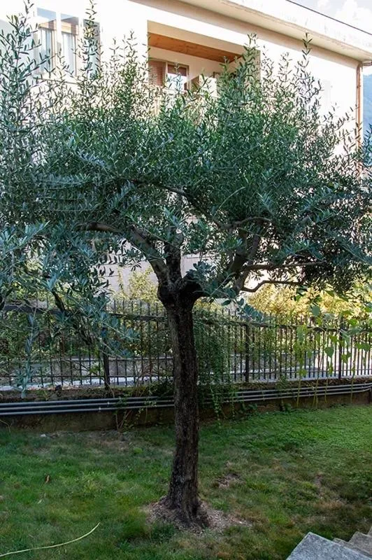 B&B La Casa di Alice