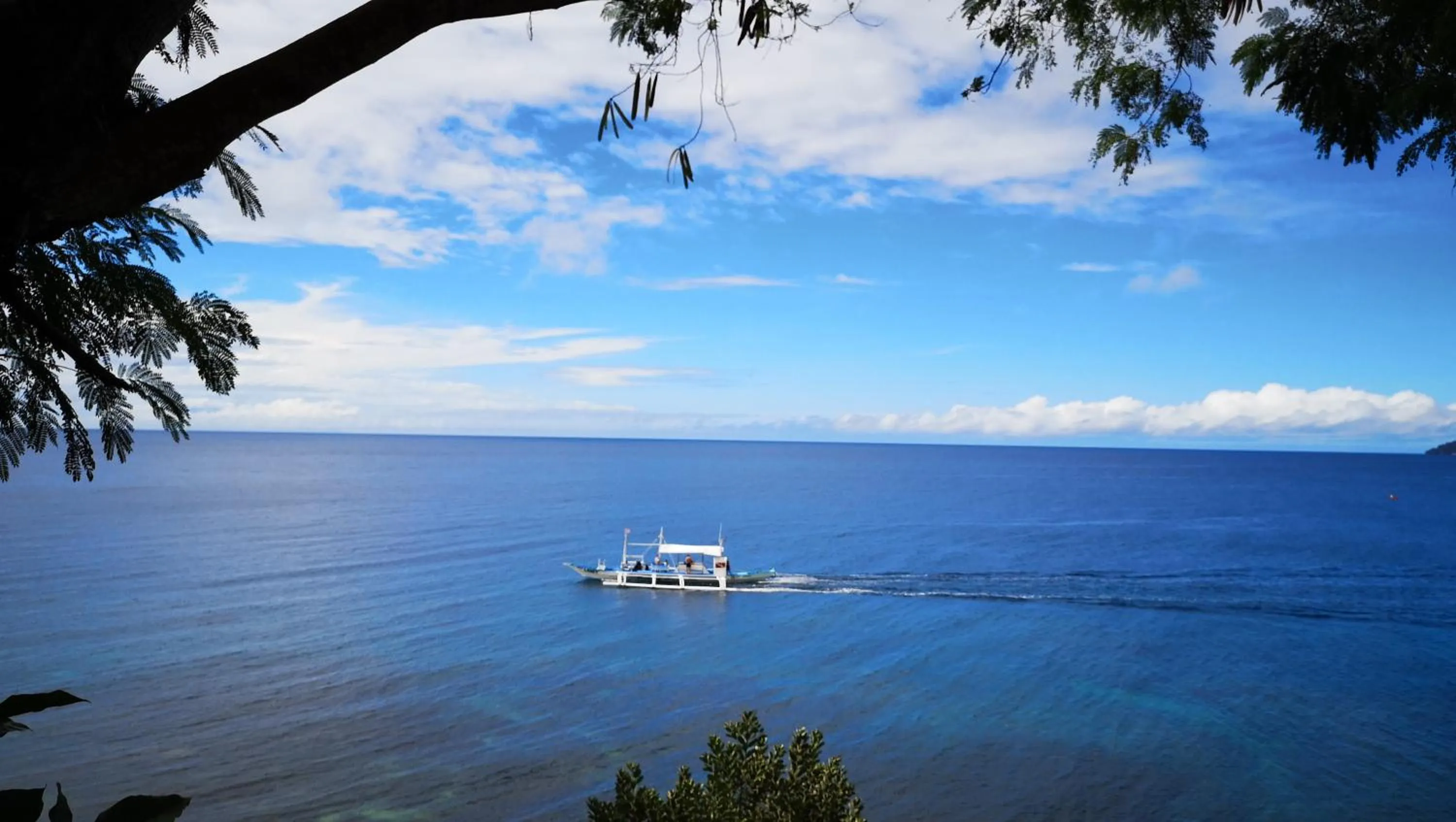 Bohol-Lahoy Dive Resort
