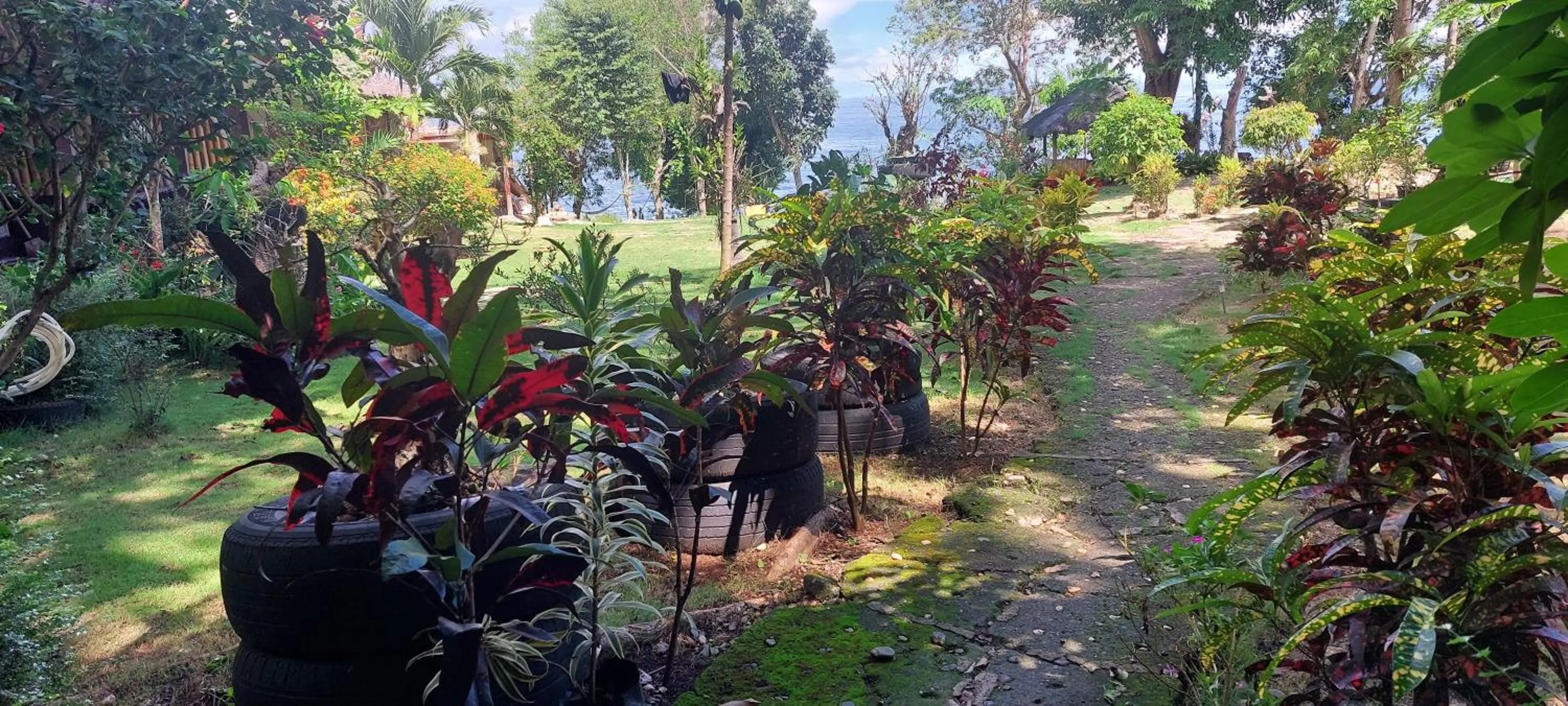 Bohol-Lahoy Dive Resort