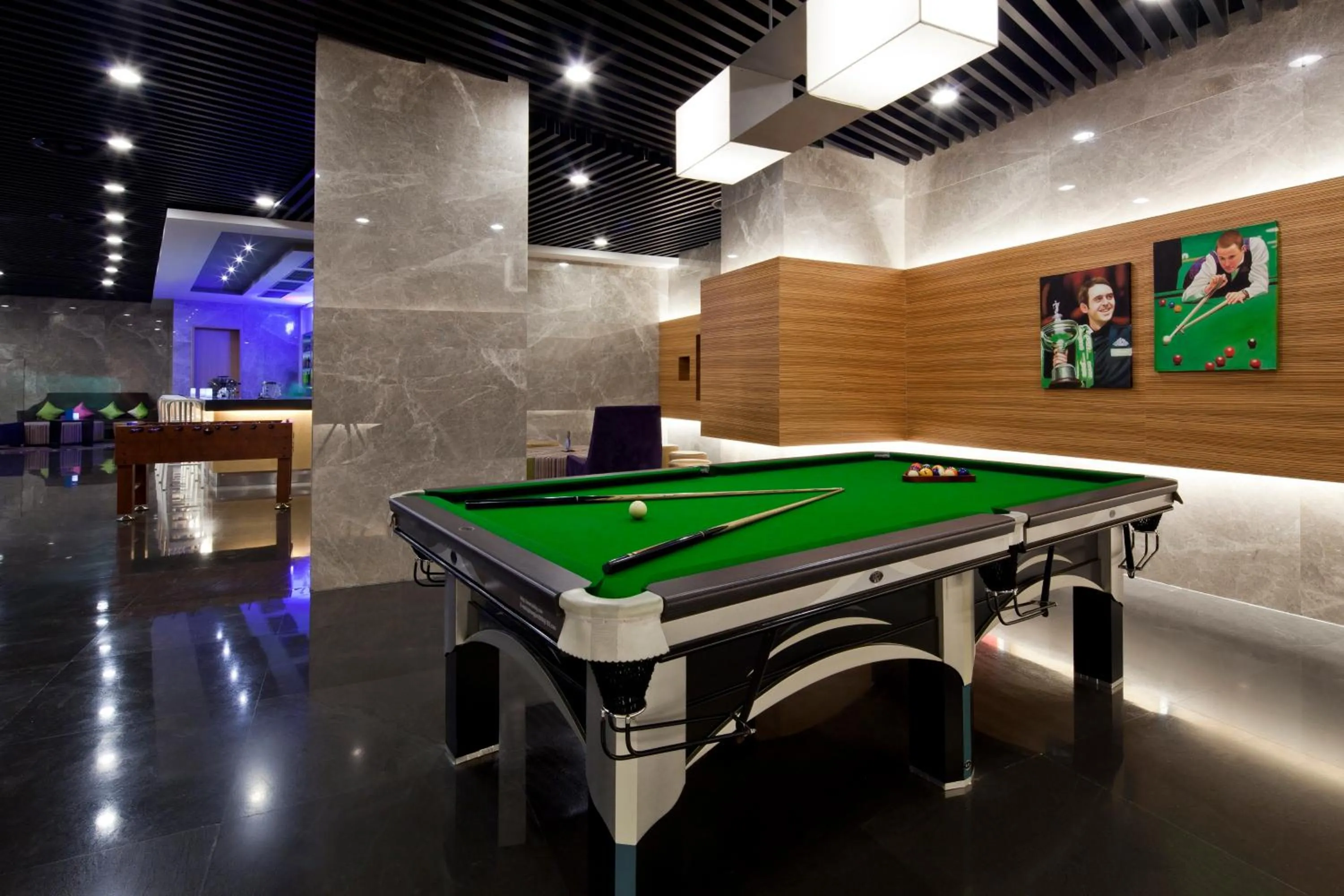 Billiard in Funiu Mountain Hotel