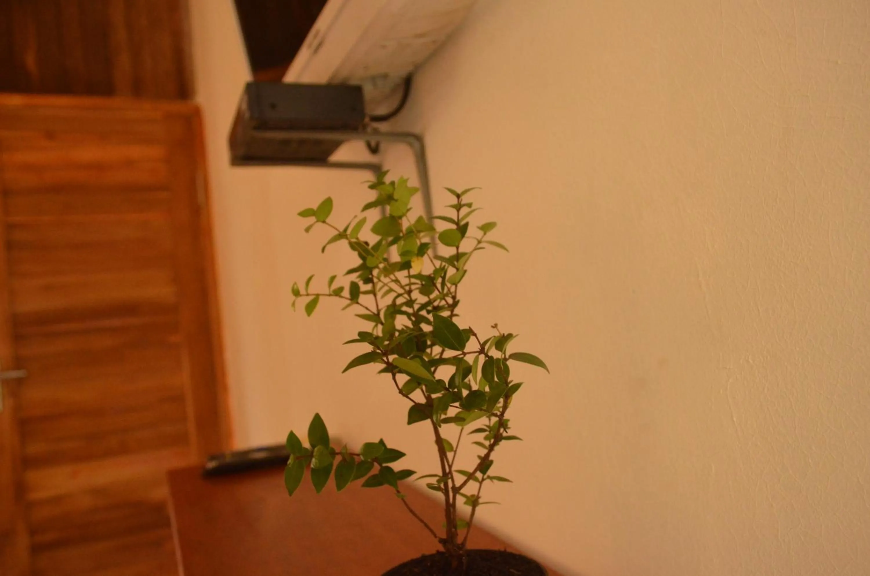Communal lounge/ TV room in The Rahayu Cottage