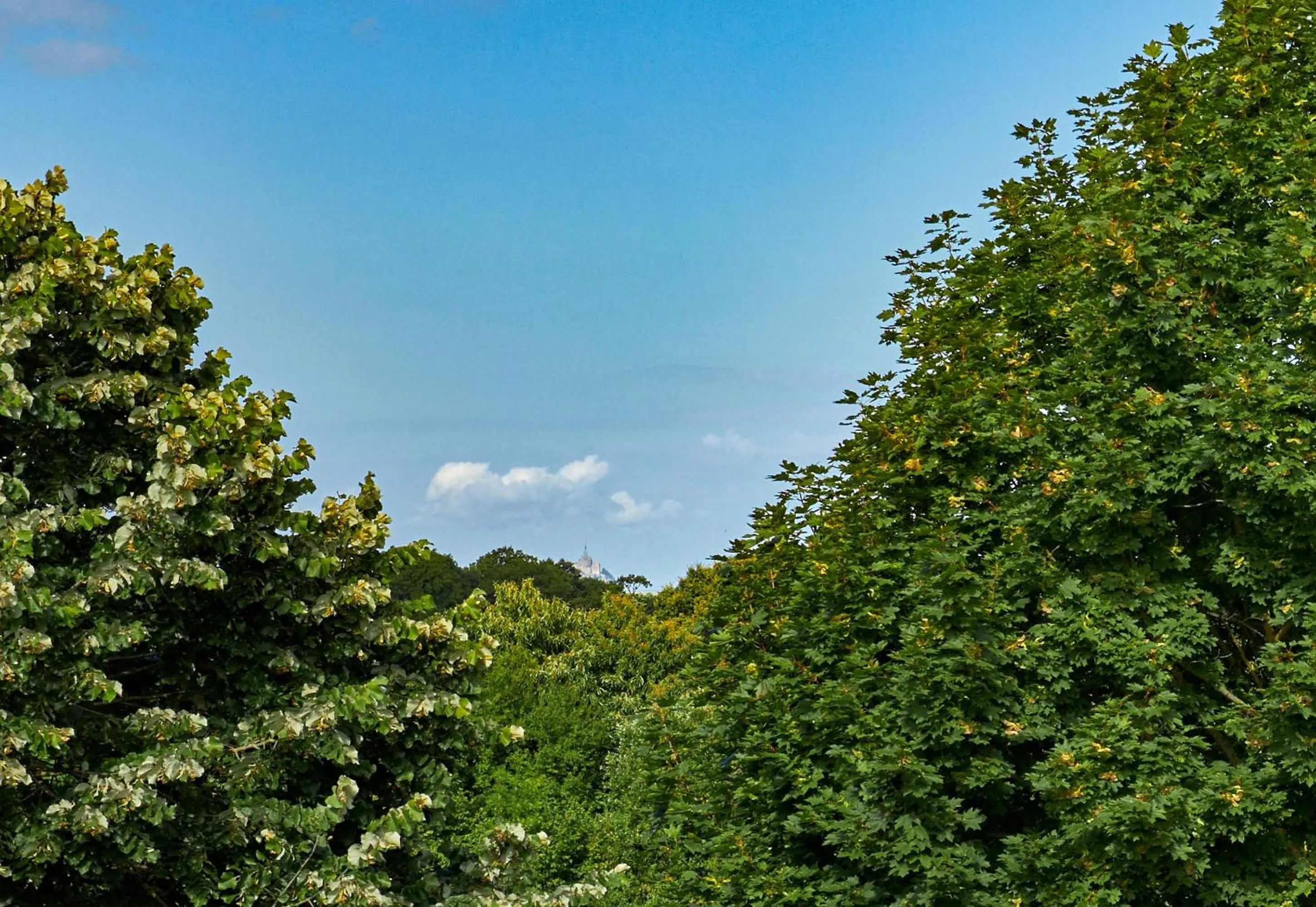 Natural landscape in B&B HOTEL AVRANCHES Baie du Mont St-Michel