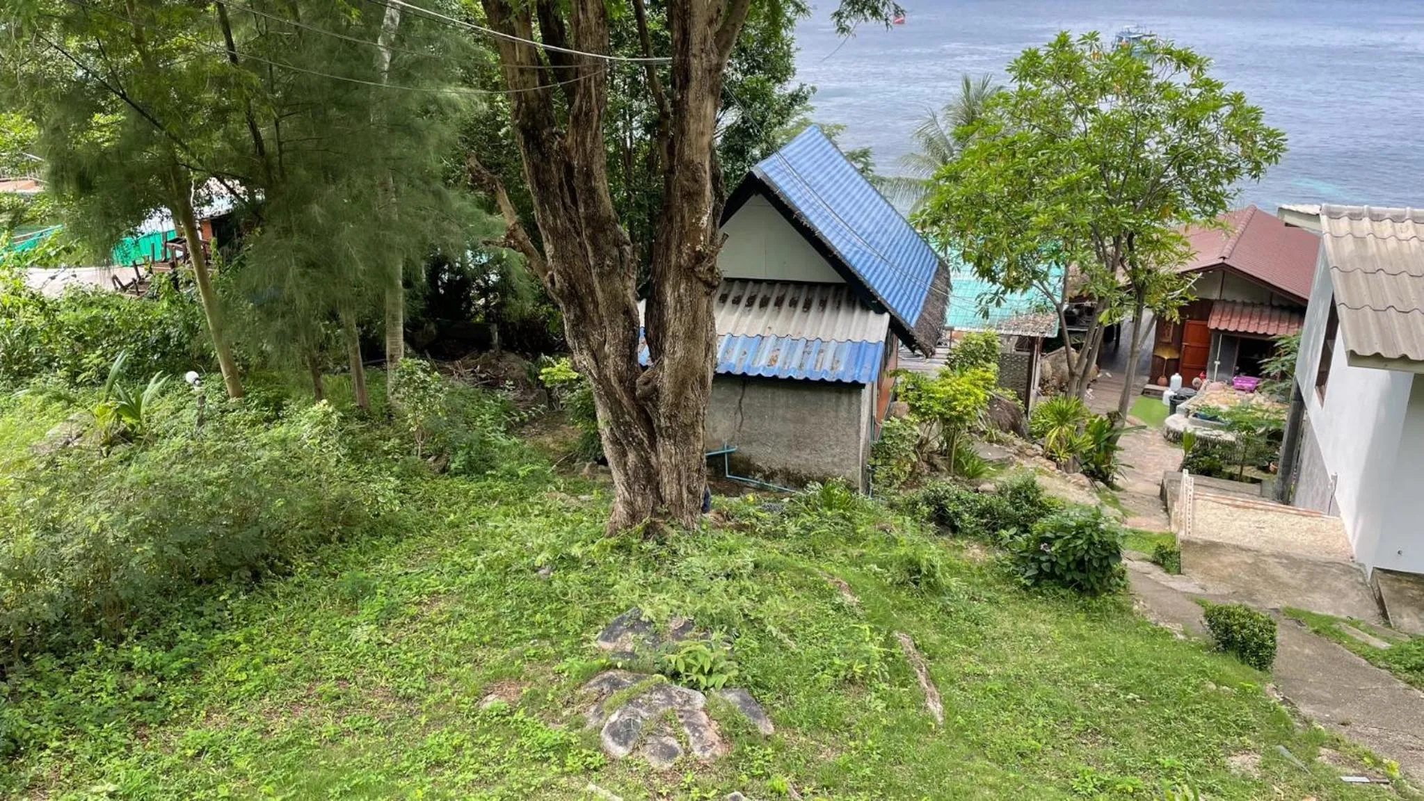 Garden in P.D. Beach Resort