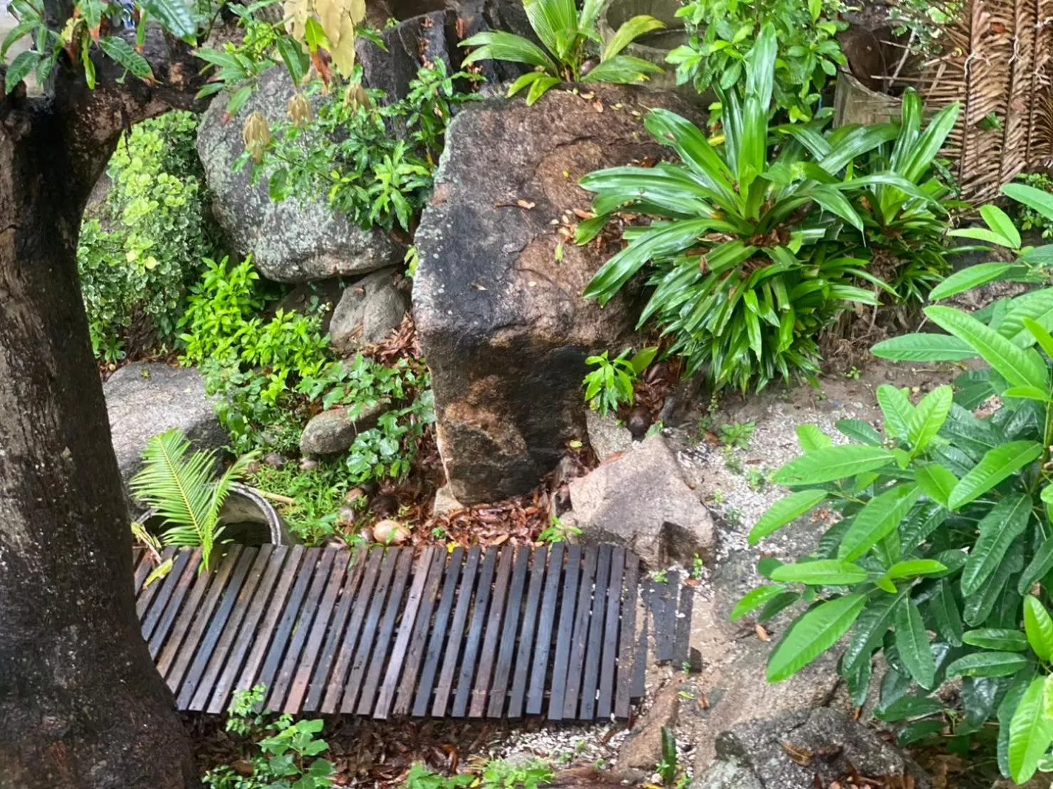 View (from property/room) in P.D. Beach Resort