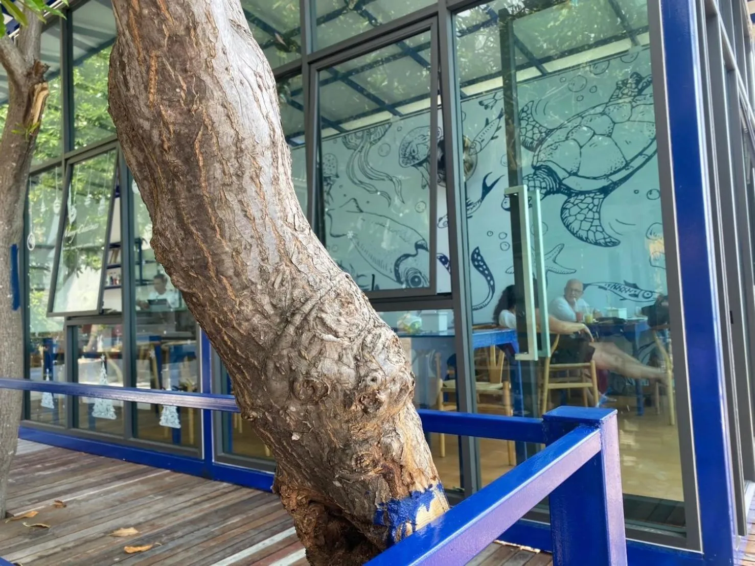 Restaurant/places to eat in P.D. Beach Resort