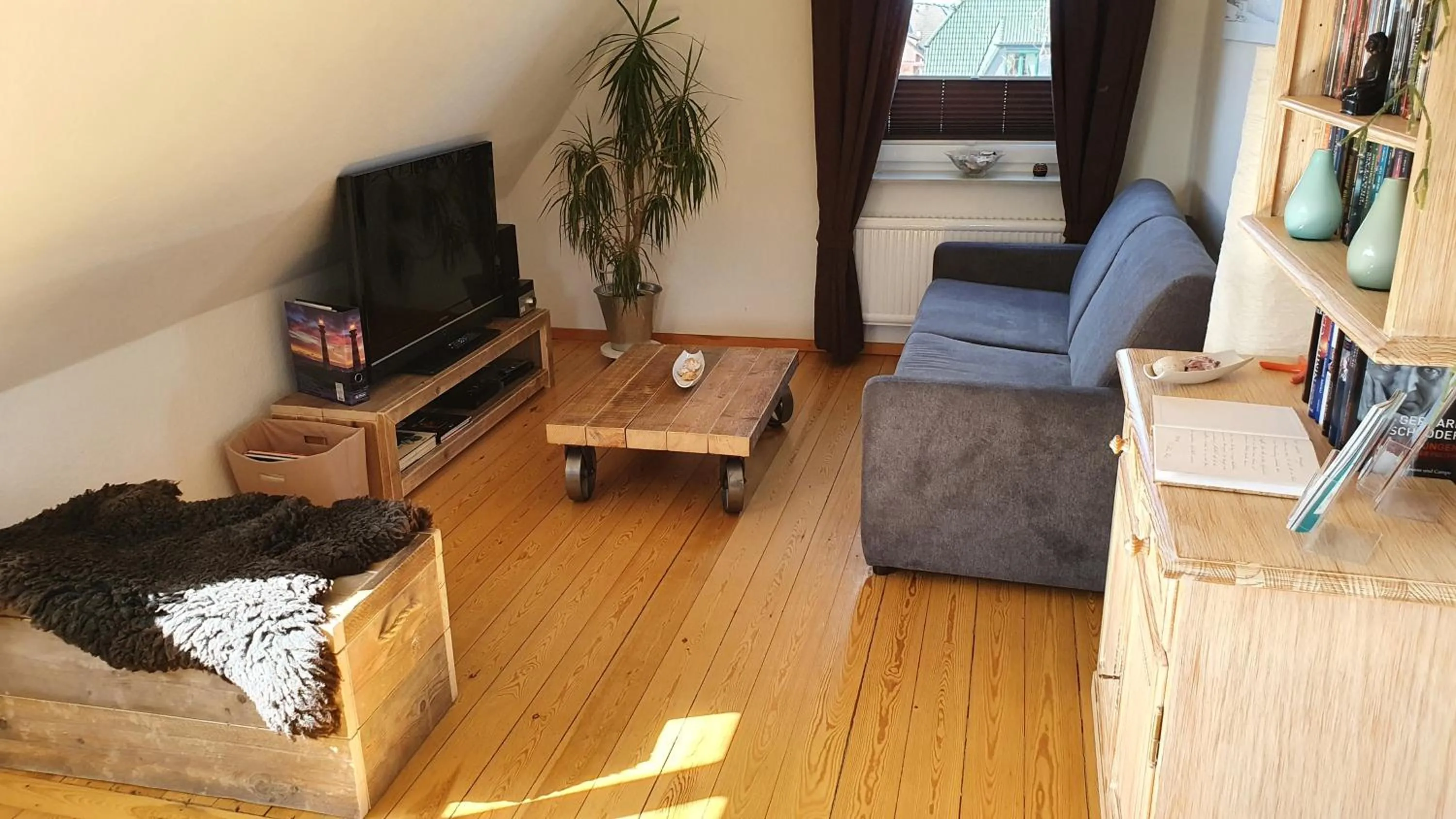 TV and multimedia in Ferienwohnung Nordlicht Laboe