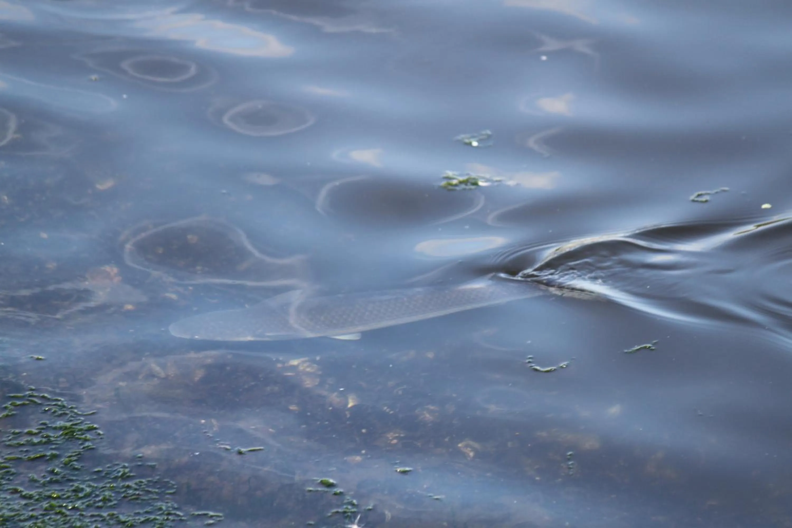 Entertainment in Hostel Herdersbrug