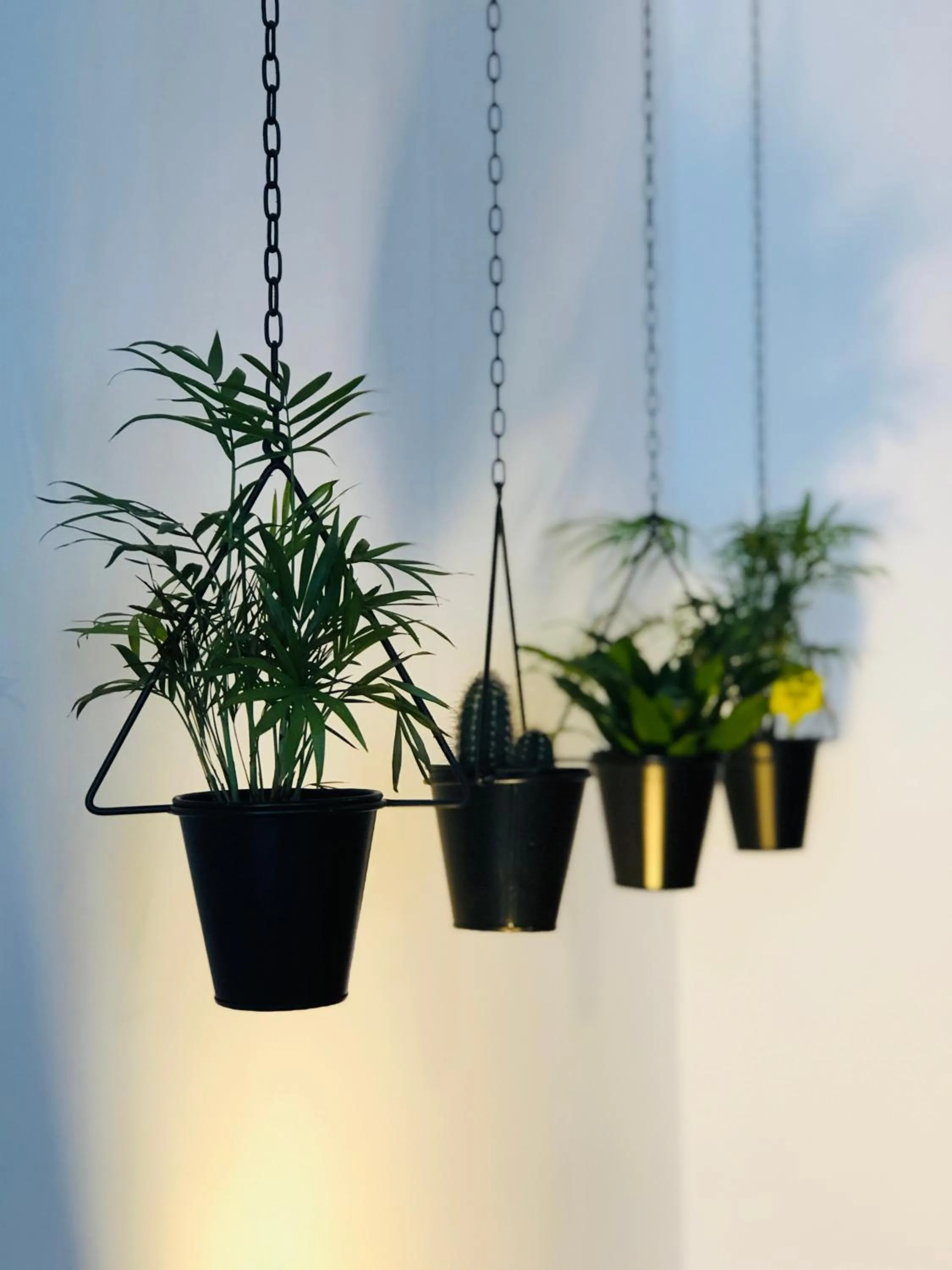 Decorative detail in Boreal Porto Gaia - Patio & Pool