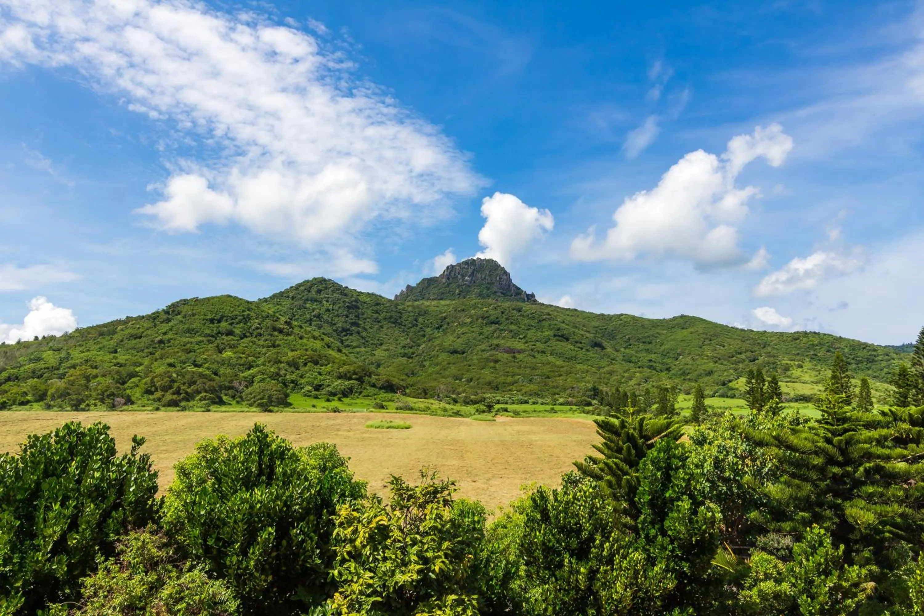 Natural landscape in Kenting Maya-House B&B