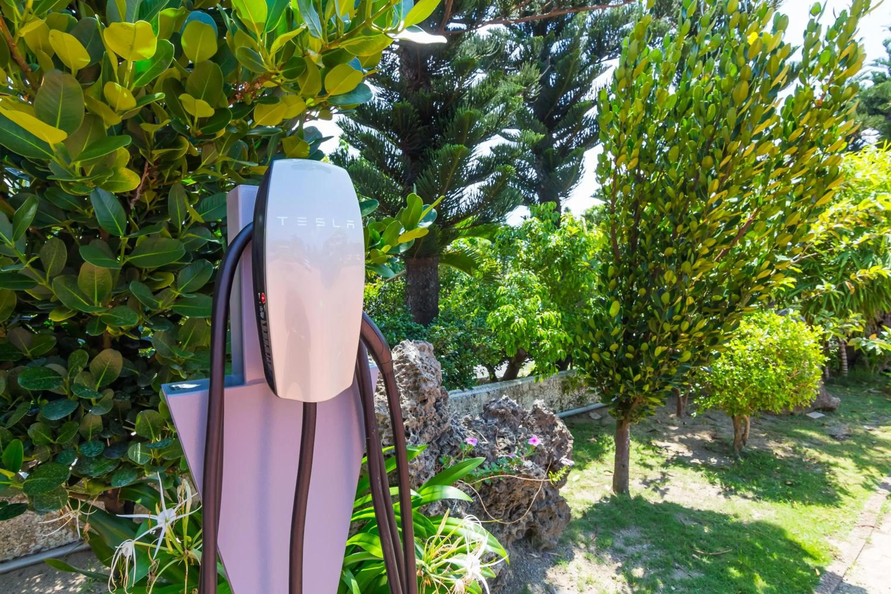 Garden in Kenting Maya-House B&B