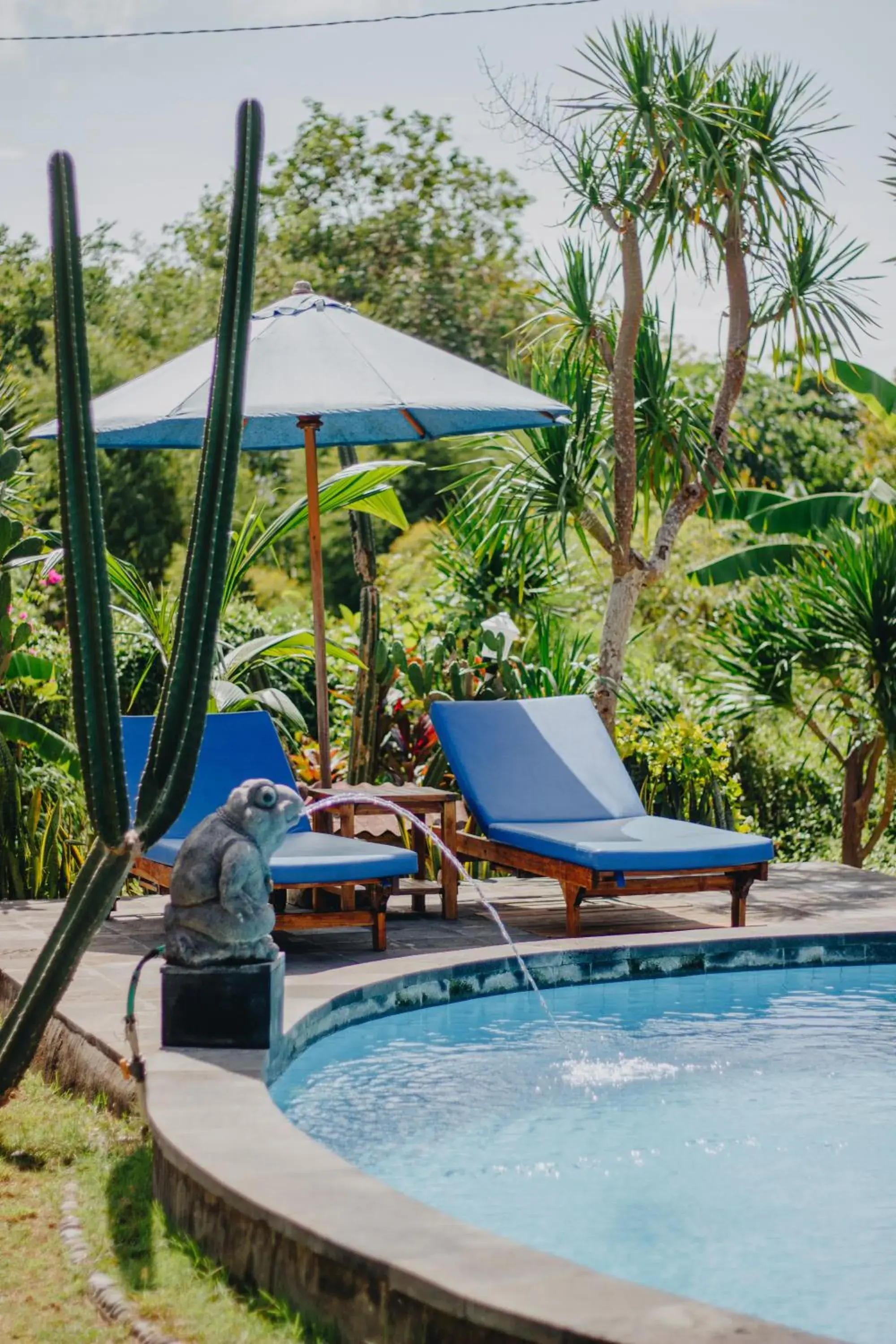 Swimming pool in Shrining Cottages Lembongan Swimming pool in Shrining Cottages Lembongan