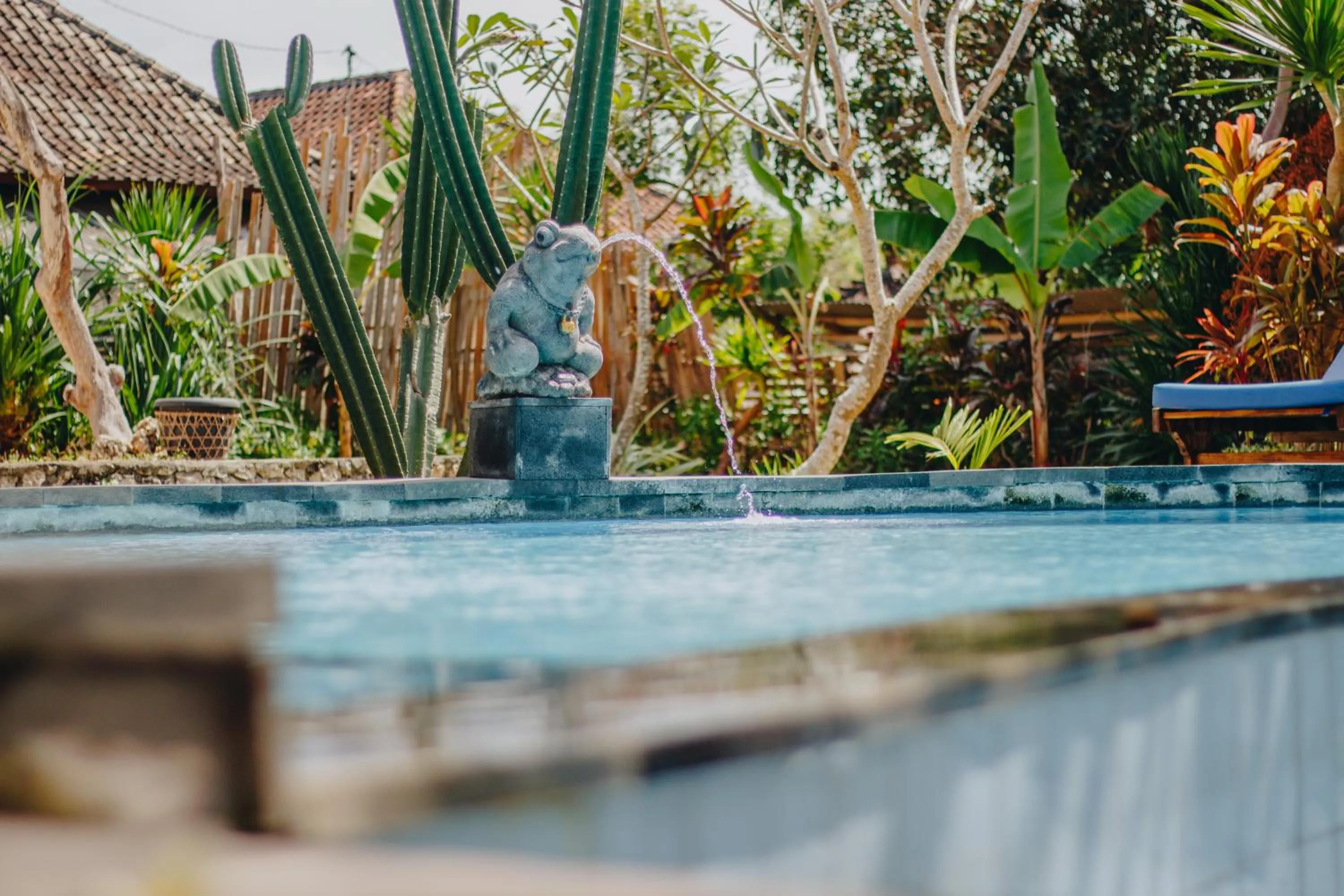 Swimming pool in Shrining Cottages Lembongan