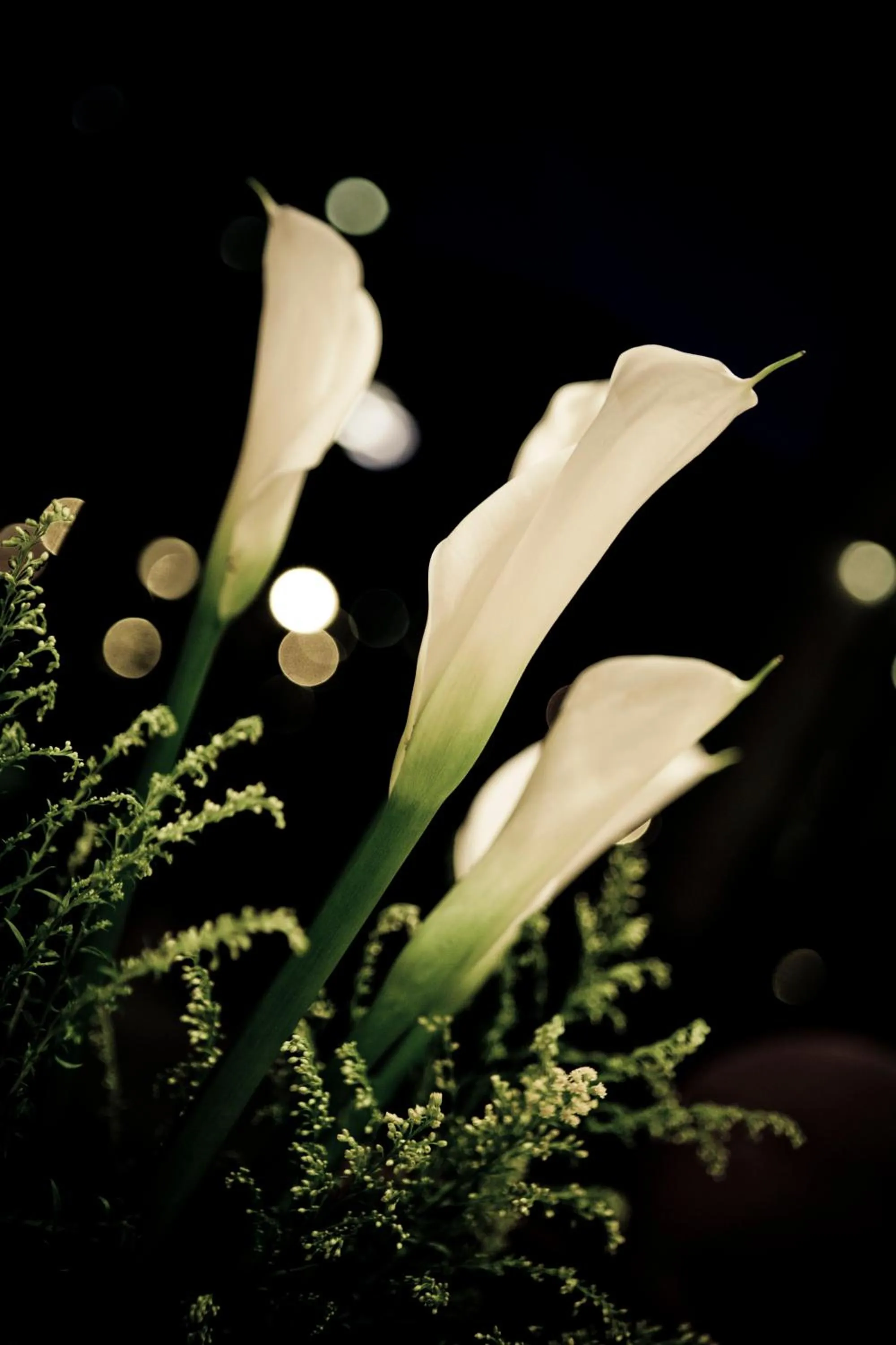 Other in Rambler Garden Hotel