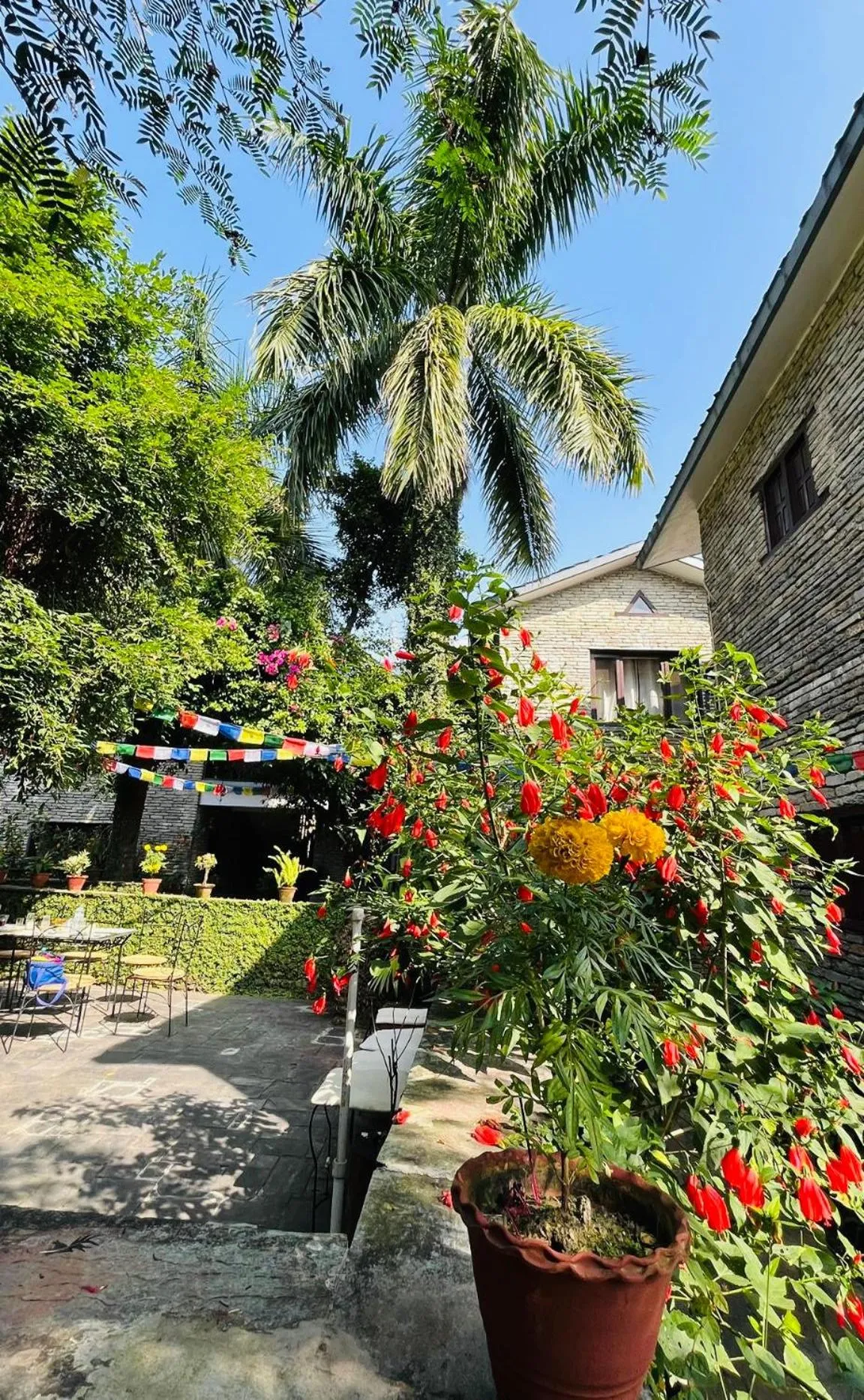 Garden view in Mum's Garden Resort