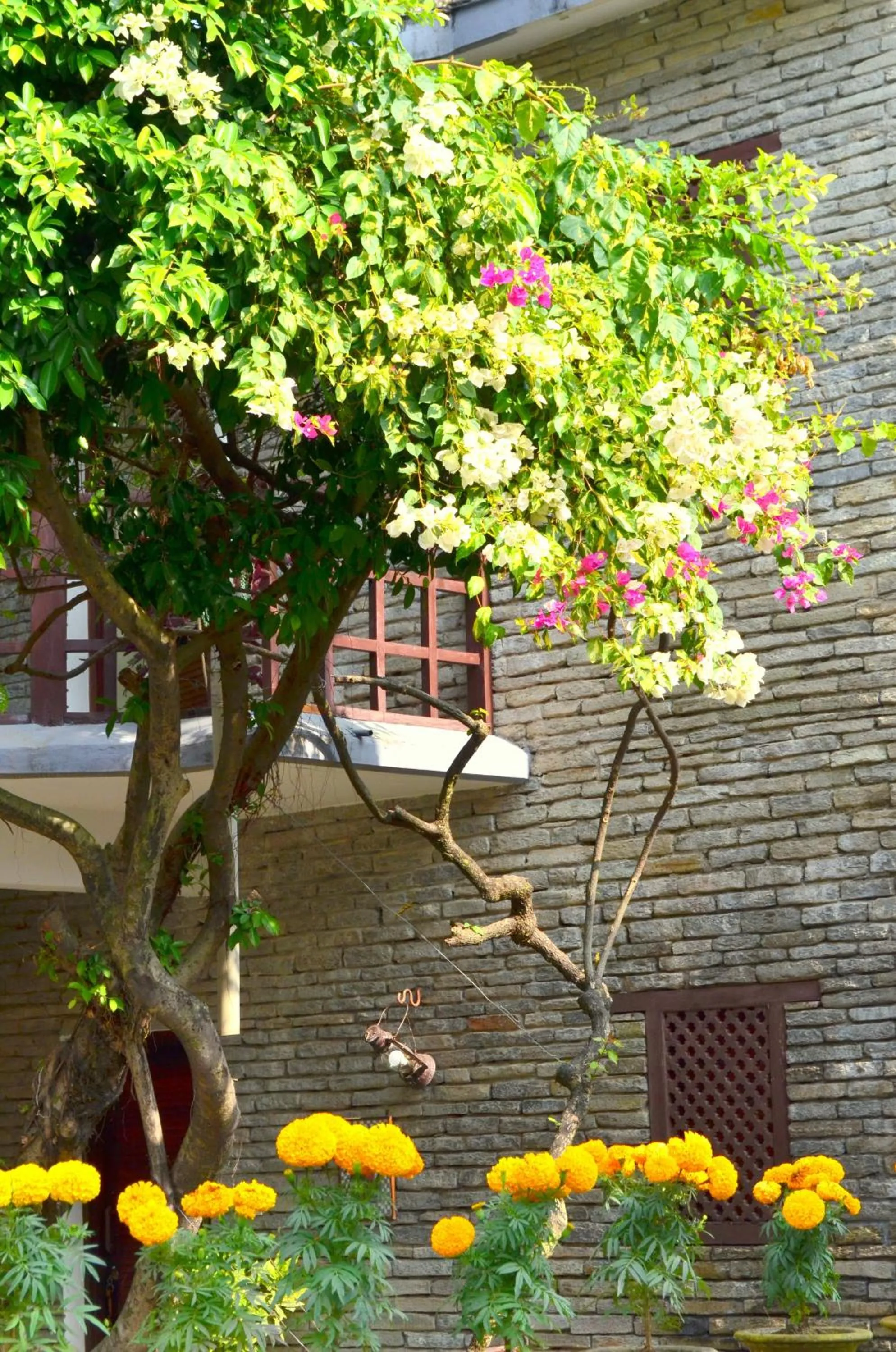 Garden view in Mum's Garden Resort