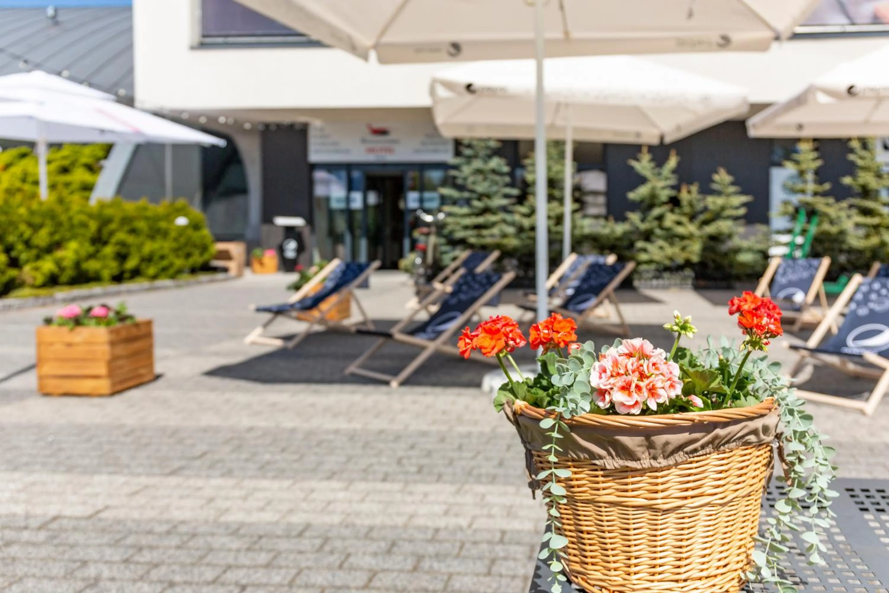 Restaurant/places to eat in Hotel Bażantowo Sport