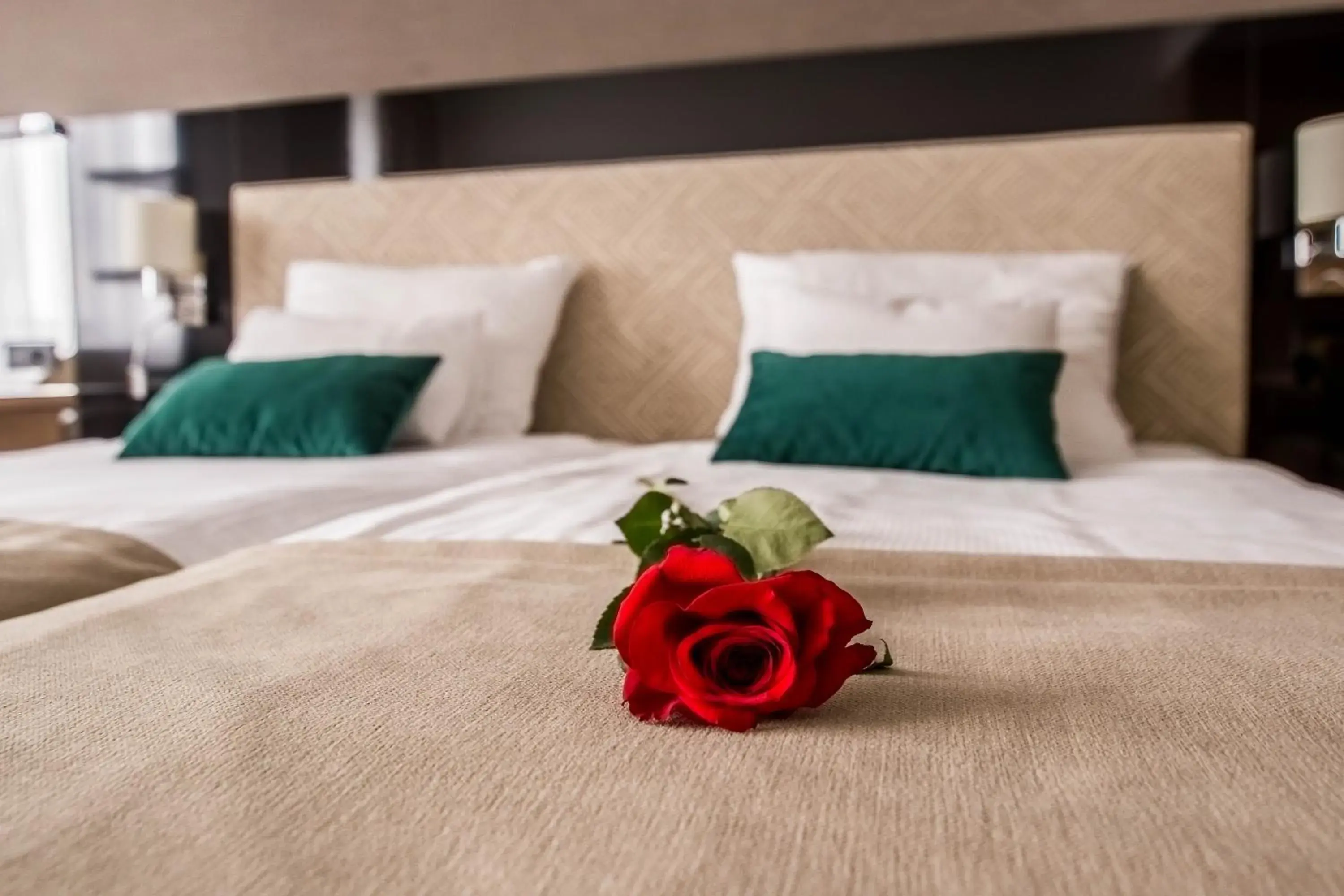 Deluxe Twin Room - single occupancy in Hotel Bażantowo Sport Deluxe Twin Room - single occupancy in Hotel Bażantowo Sport