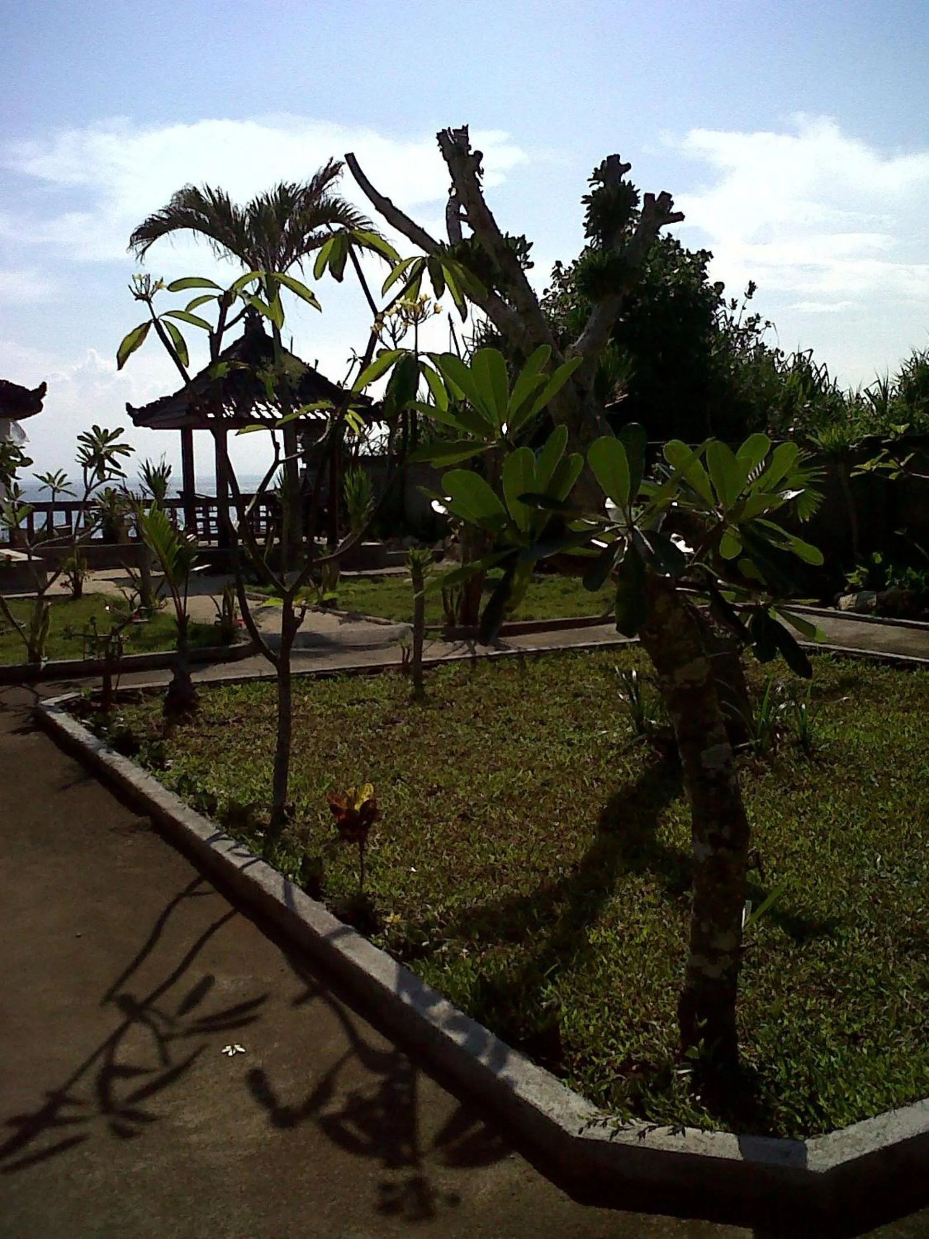 Garden in Dodol Lembongan Cliff Sunset