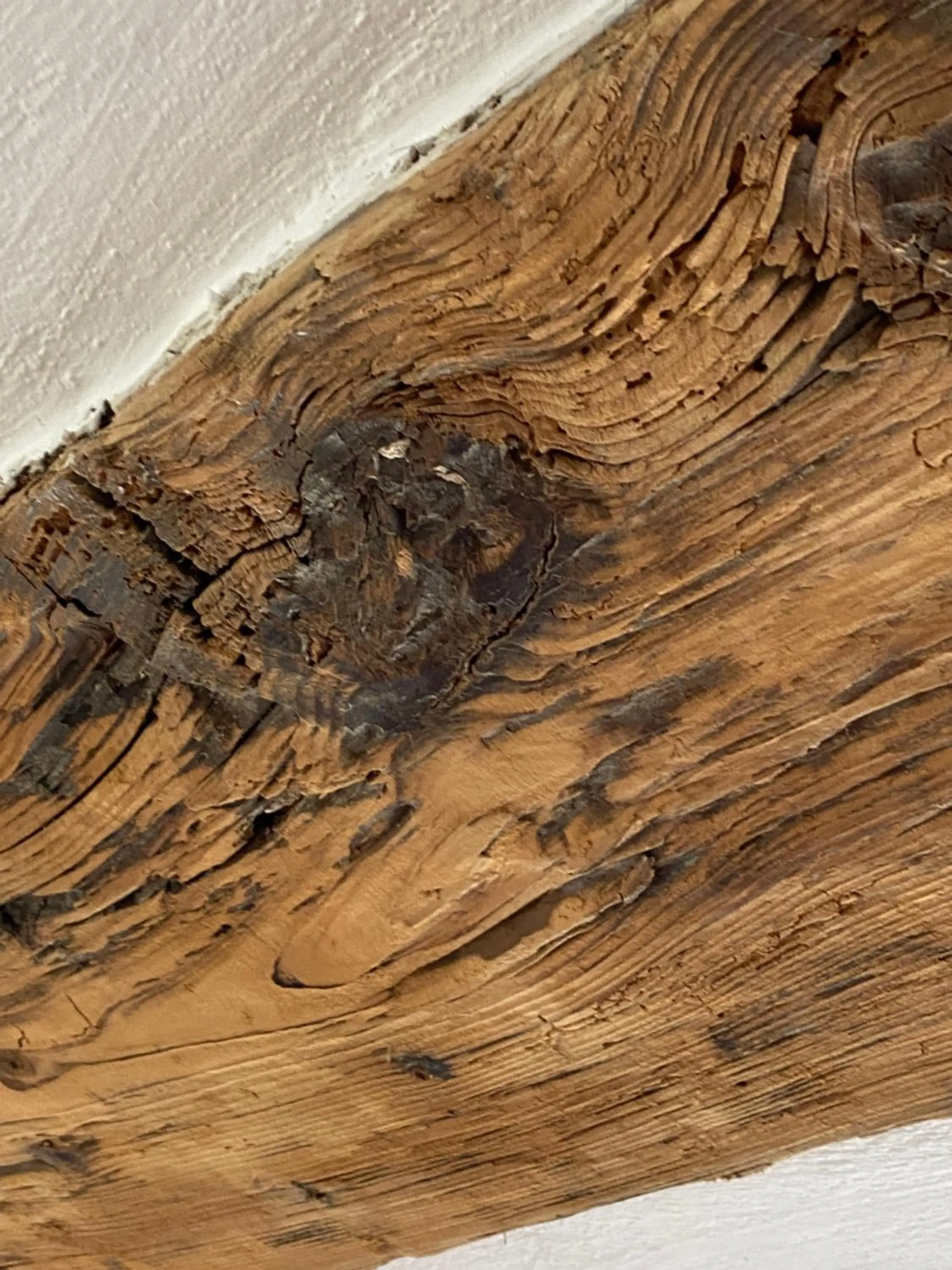 Gästehaus Alter Keller