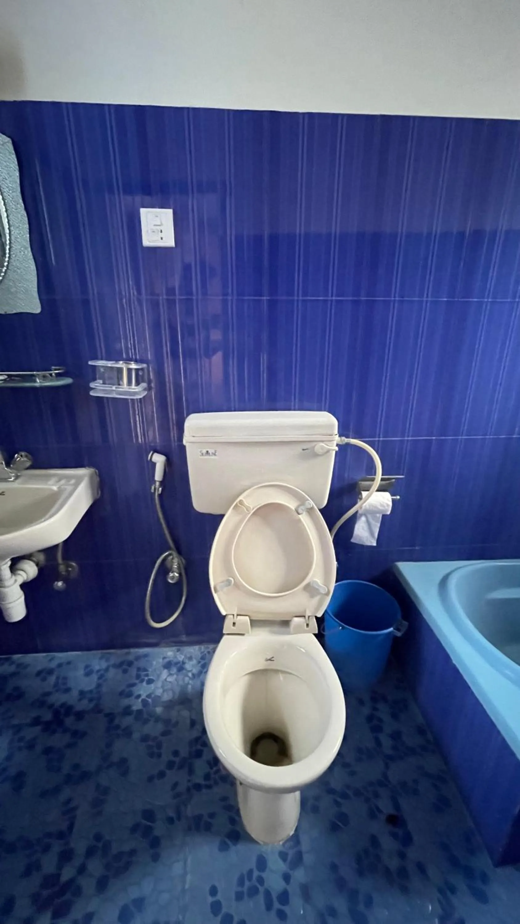 Toilet in Hotel Hakoniwa