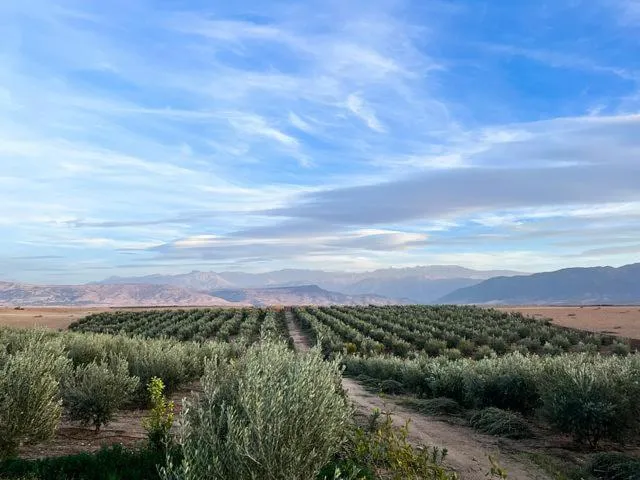 Les Jardins d Amizmiz