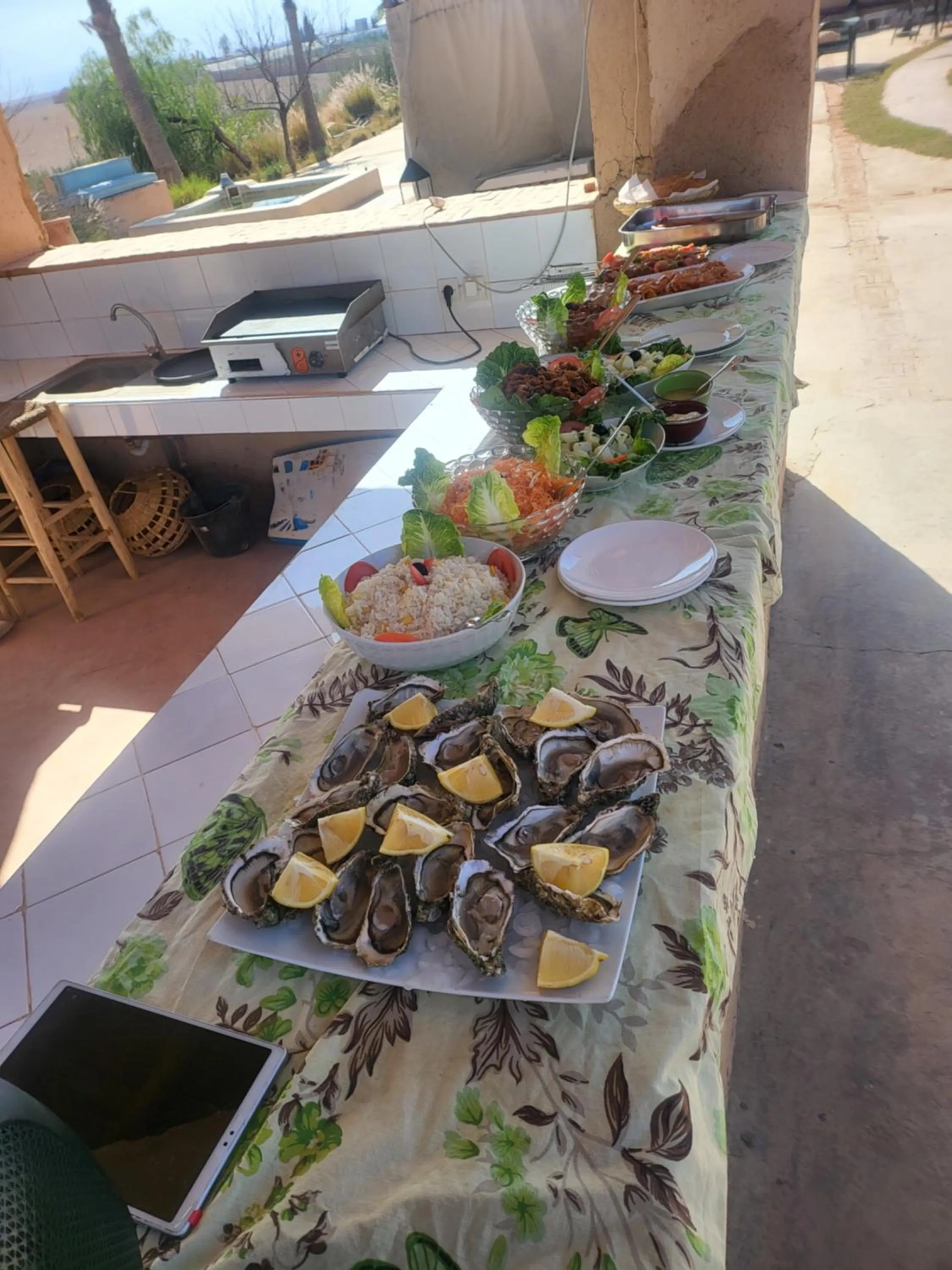 Les Jardins d Amizmiz