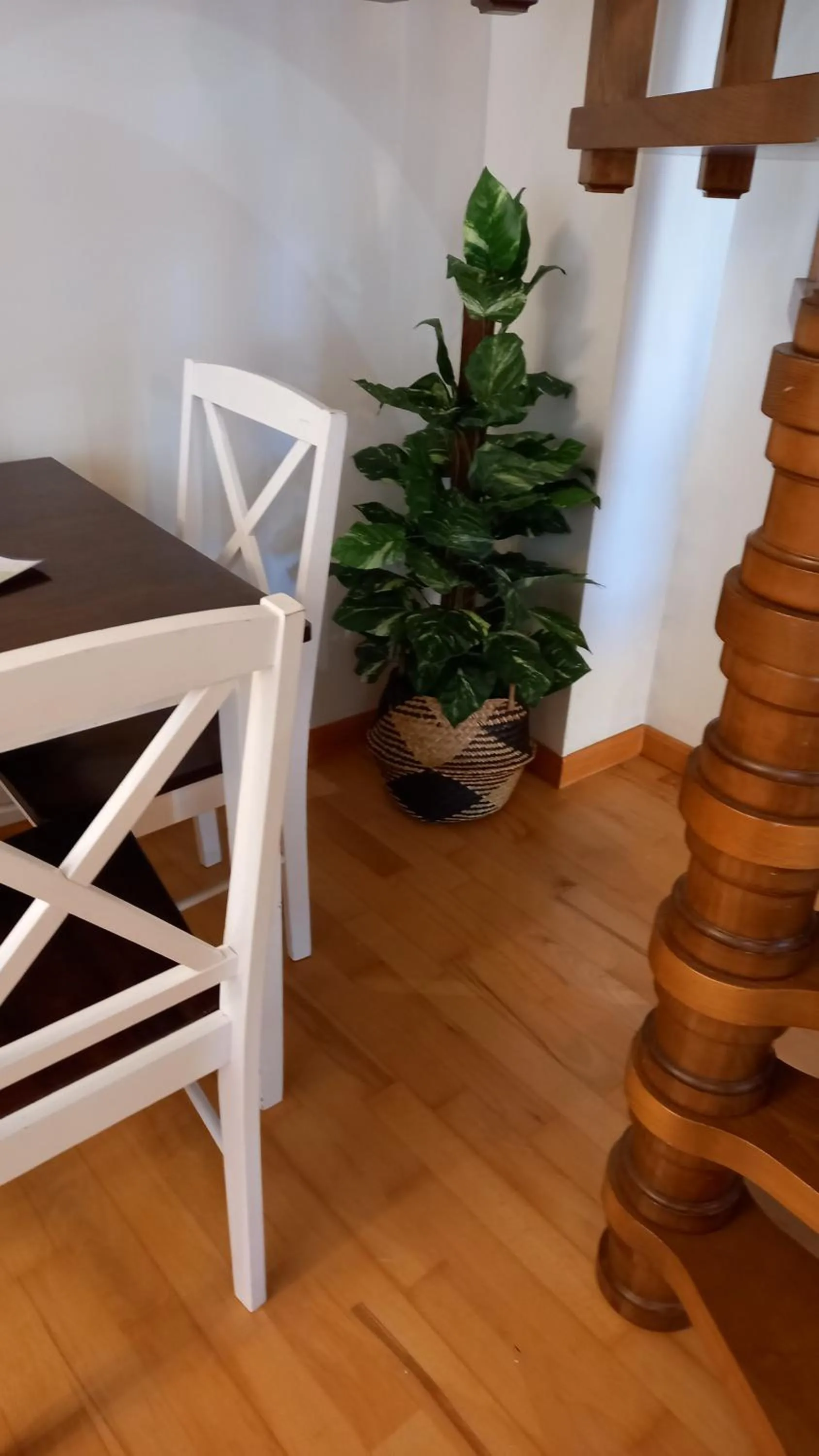 Martin Gamero Apartments
