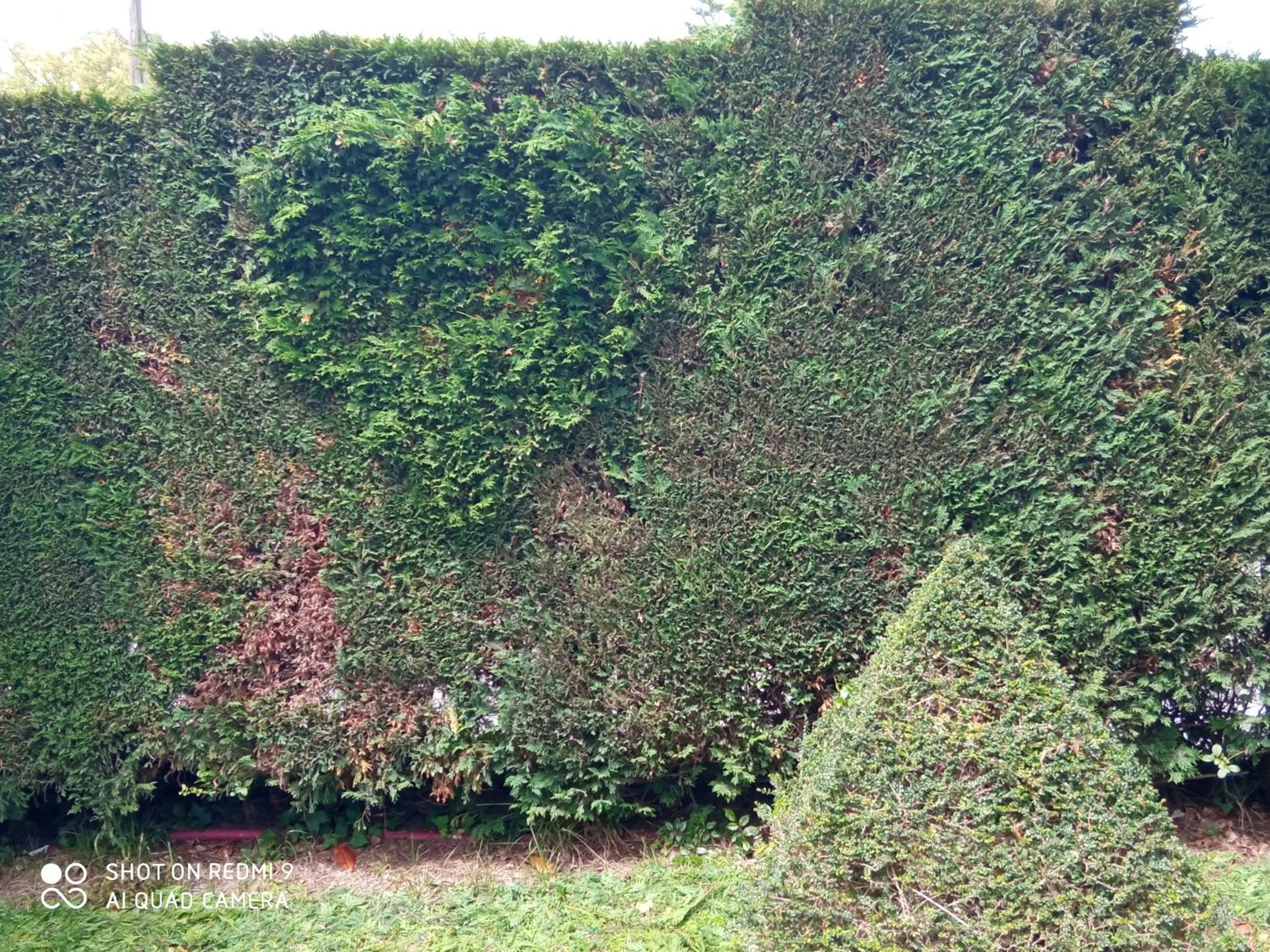 Hotel Rural El Pagadín