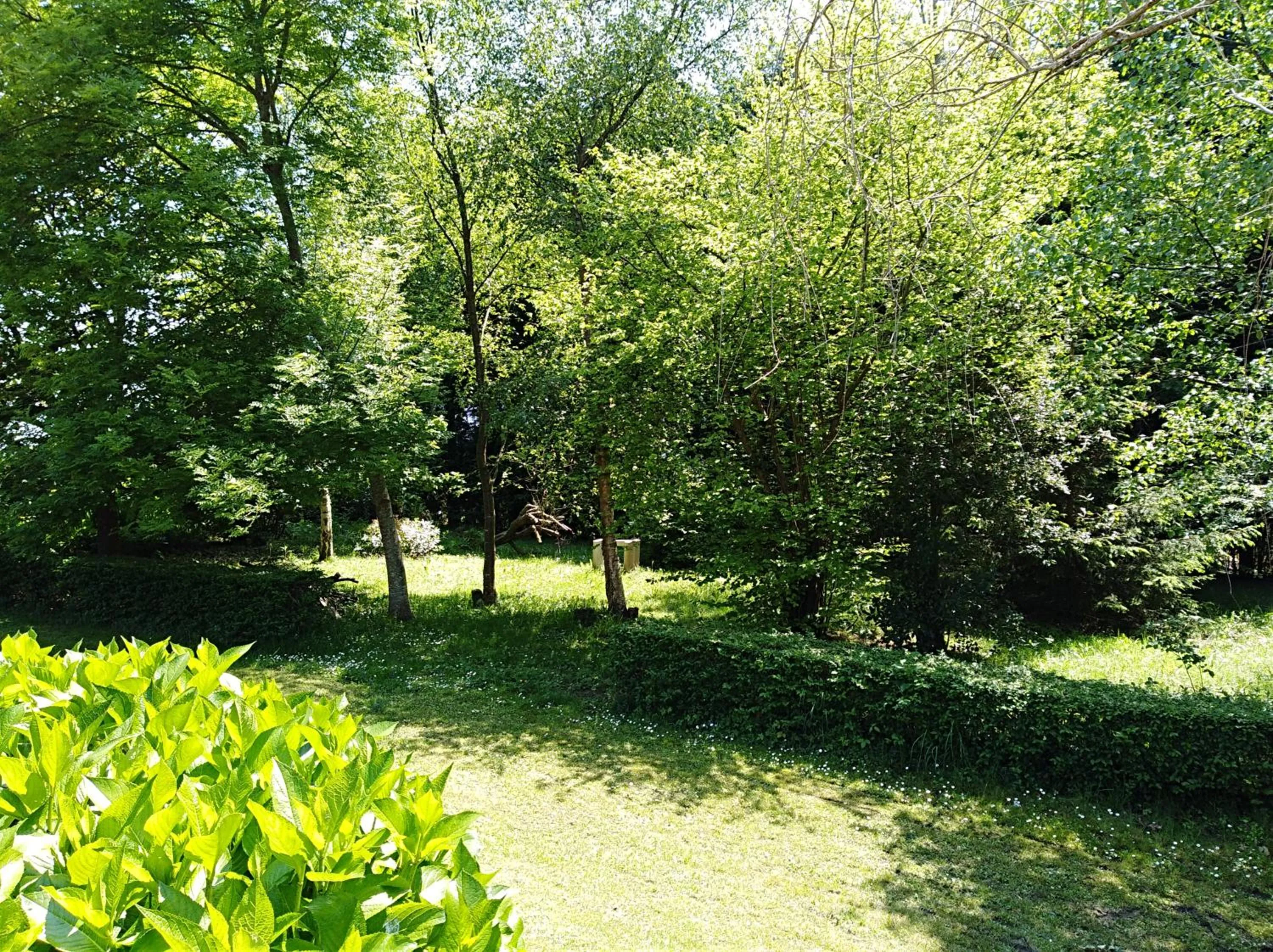 Hotel Rural El Pagadín