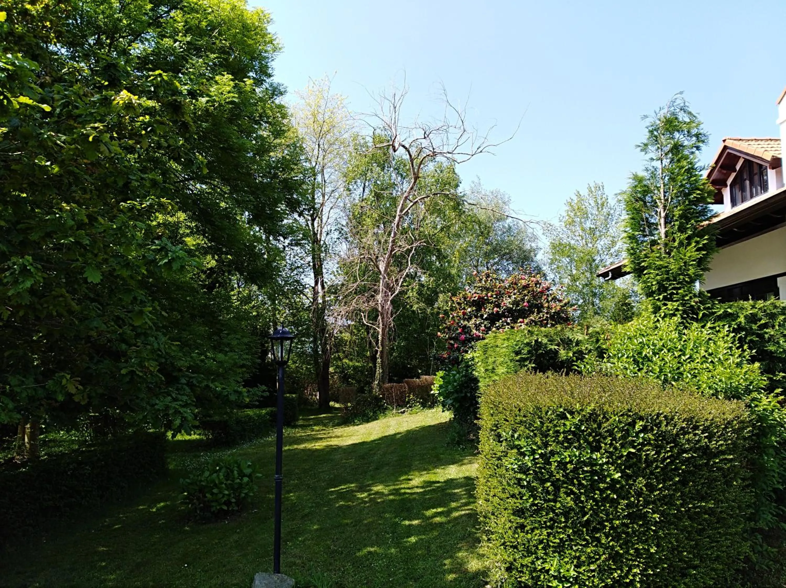 Hotel Rural El Pagadín