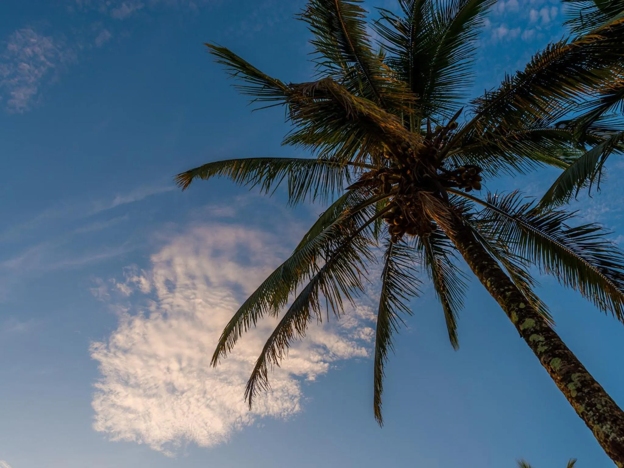 Natural landscape in Hotel Venice Ubatuba