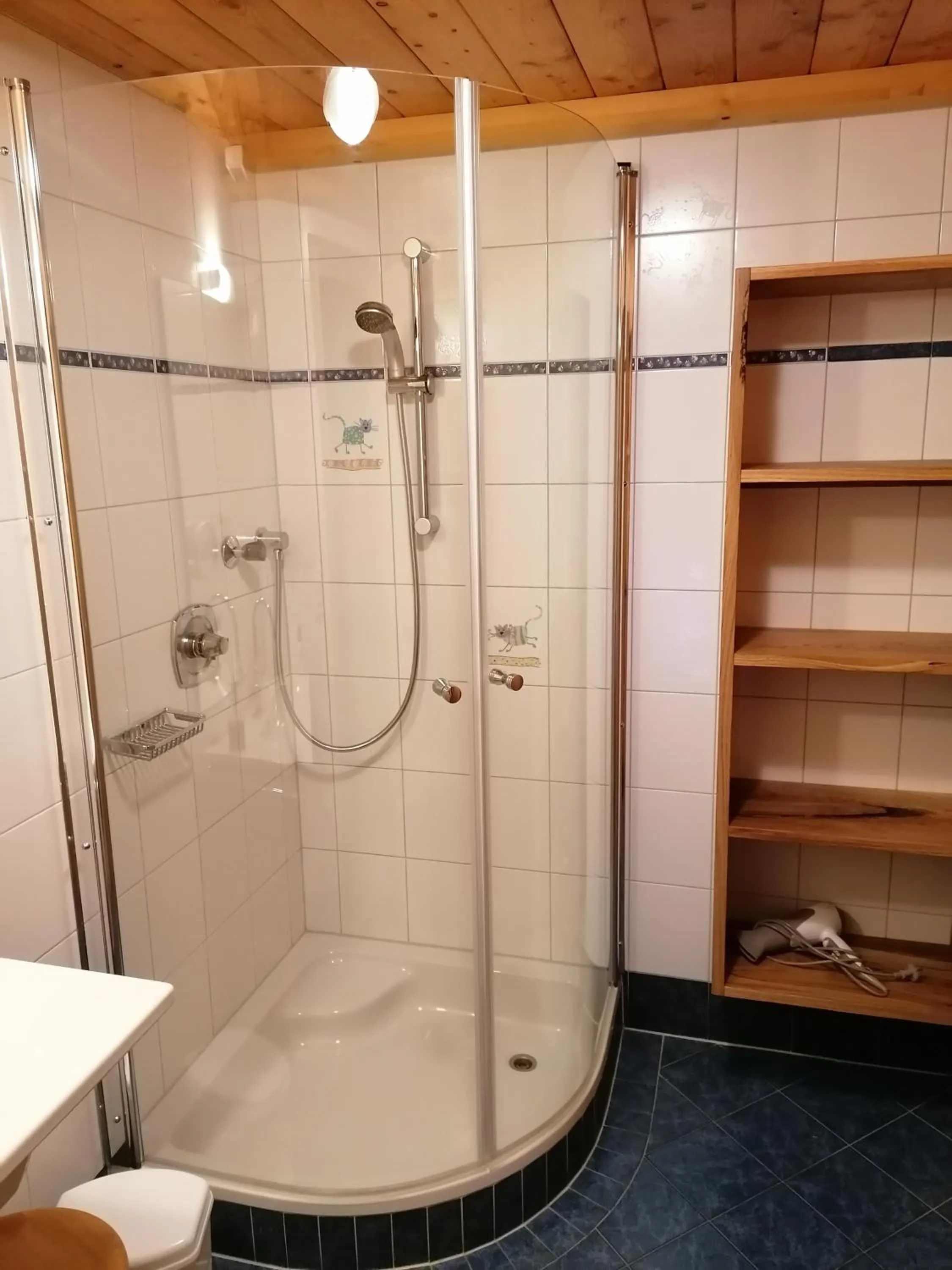 Bathroom in Biobauernhof Fleckl