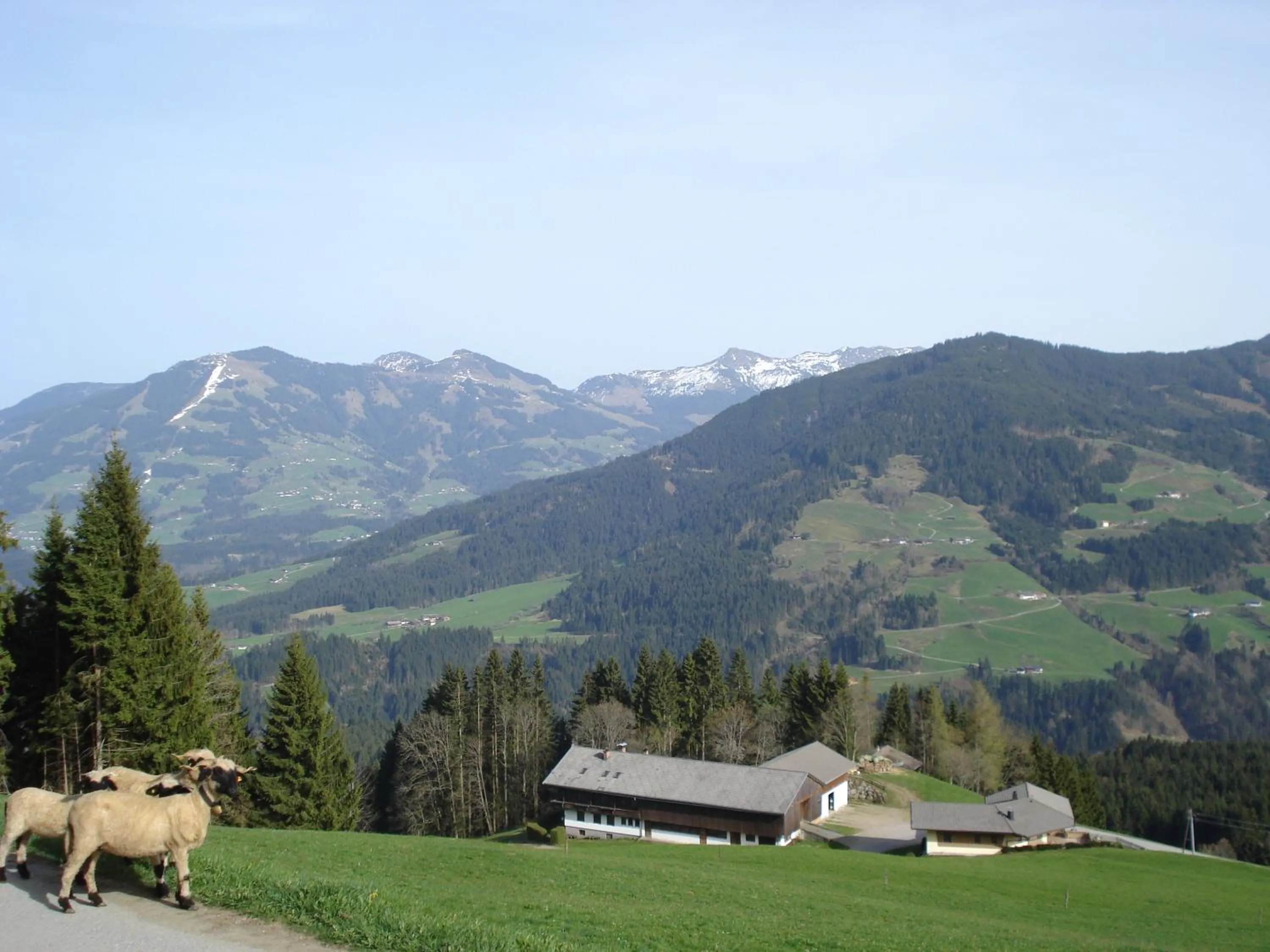 Summer in Biobauernhof Fleckl