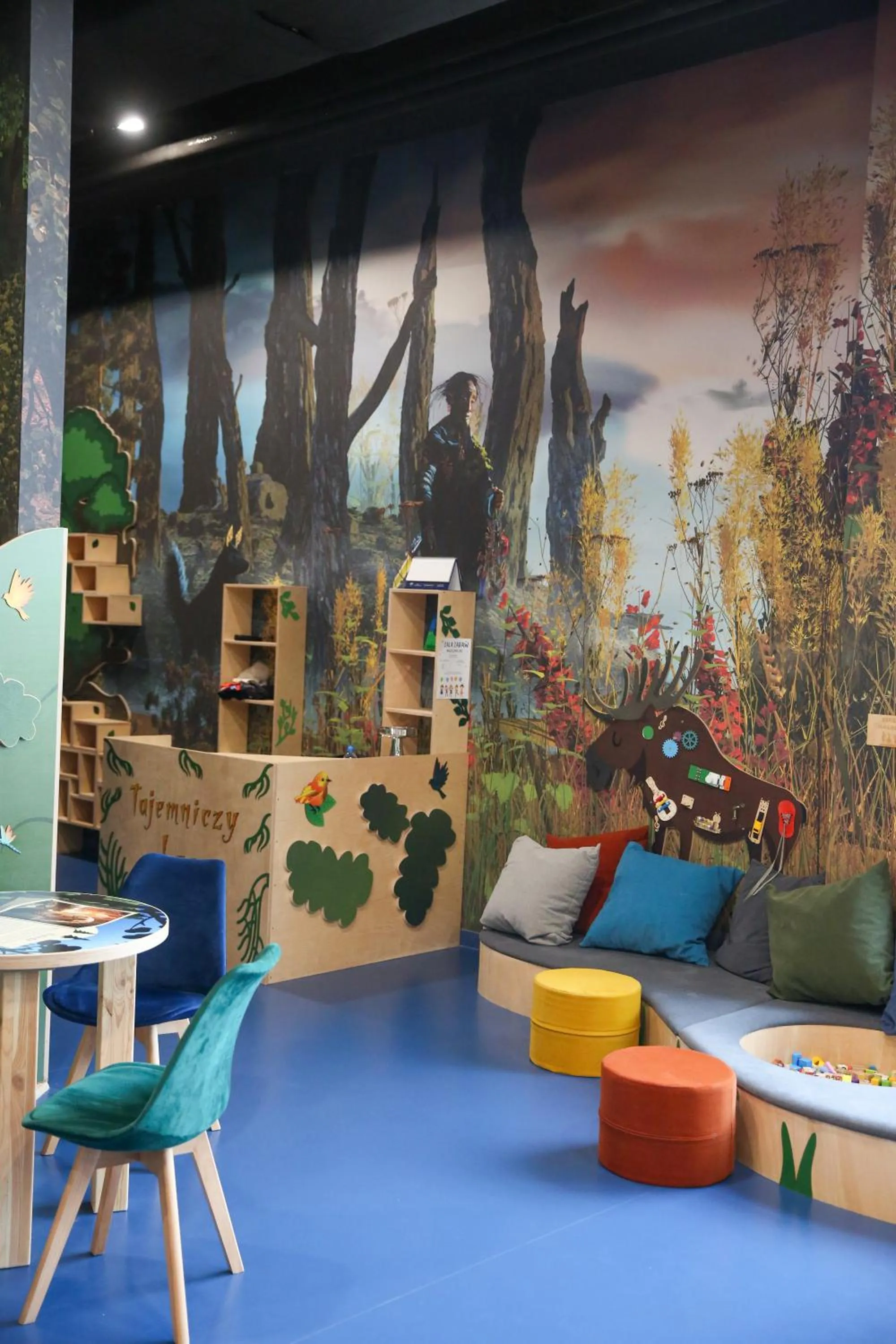 Kids's club in Hotel Mazurski Raj