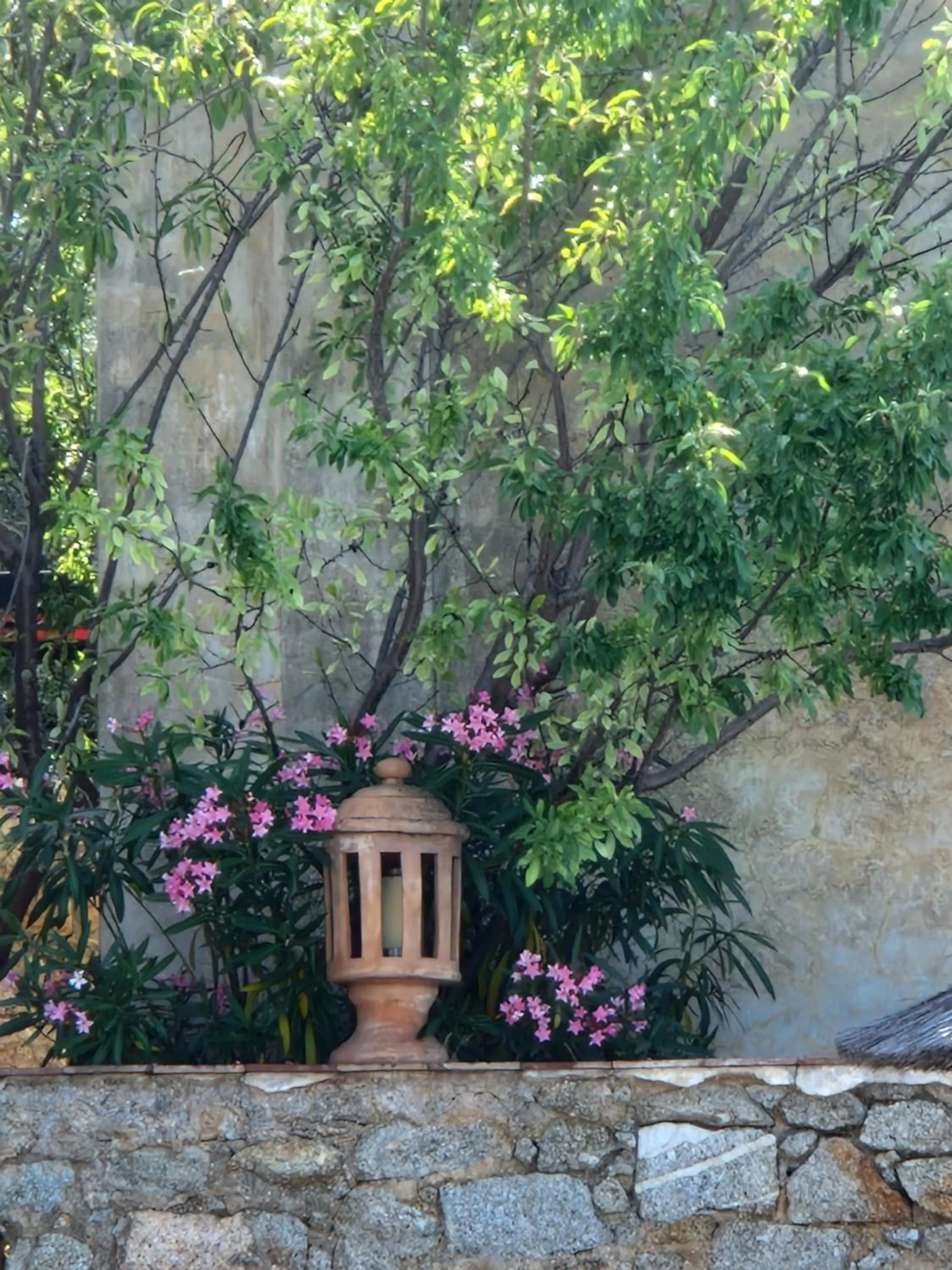 Garden view in Arena Bianca