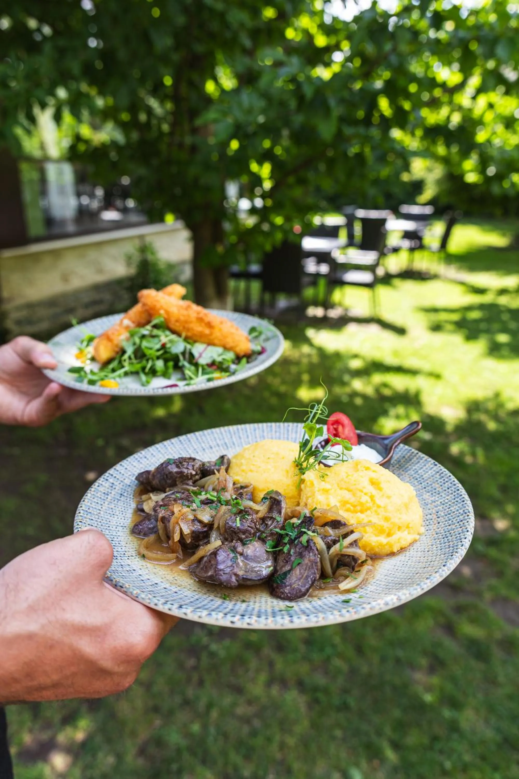 Armonia by Aristocratis