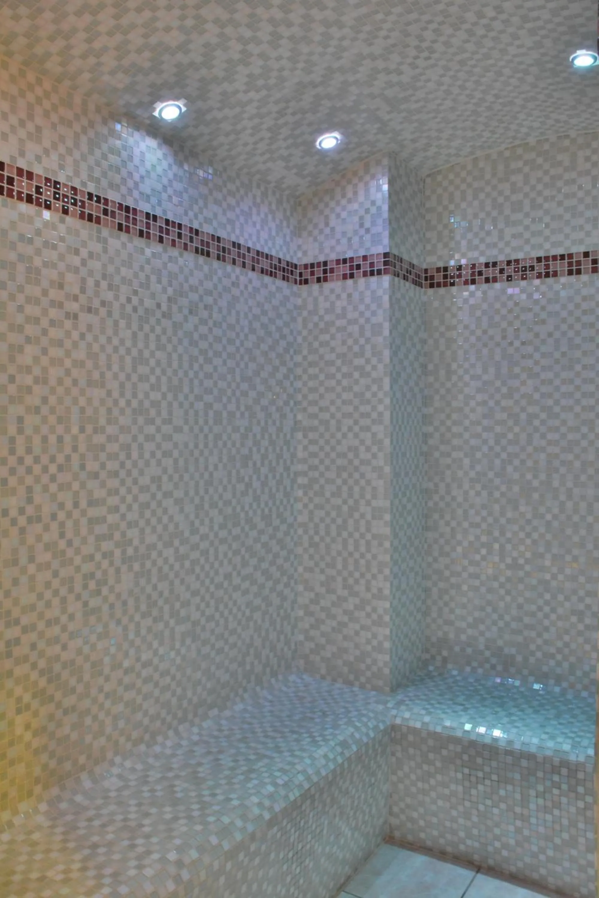Steam room in Hôtel Les Côtes, Résidence Loisirs et Chalets