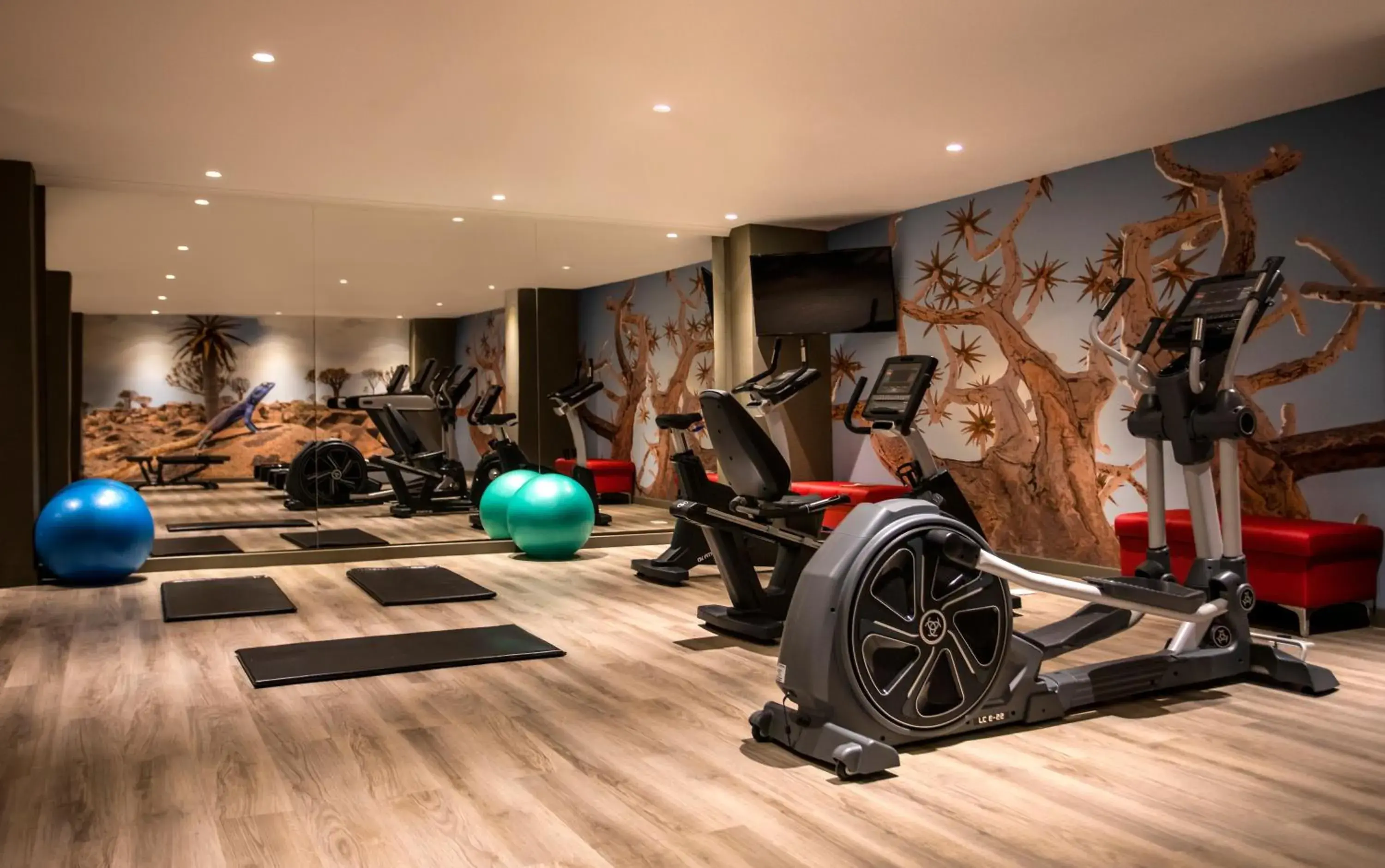 Fitness centre/facilities in Avani Windhoek Hotel & Casino Fitness centre/facilities in Avani Windhoek Hotel & Casino