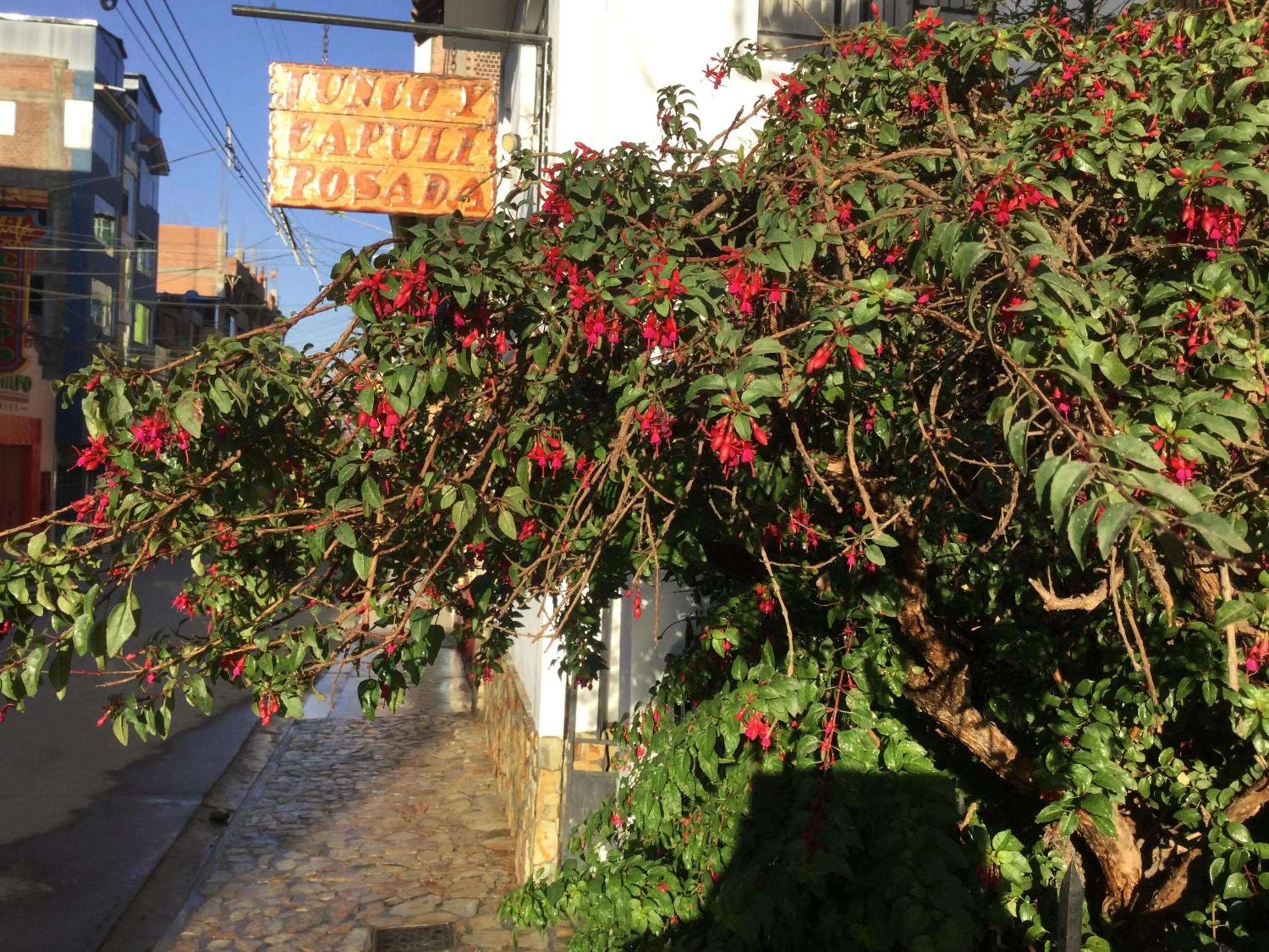 Posada Junco y Capuli