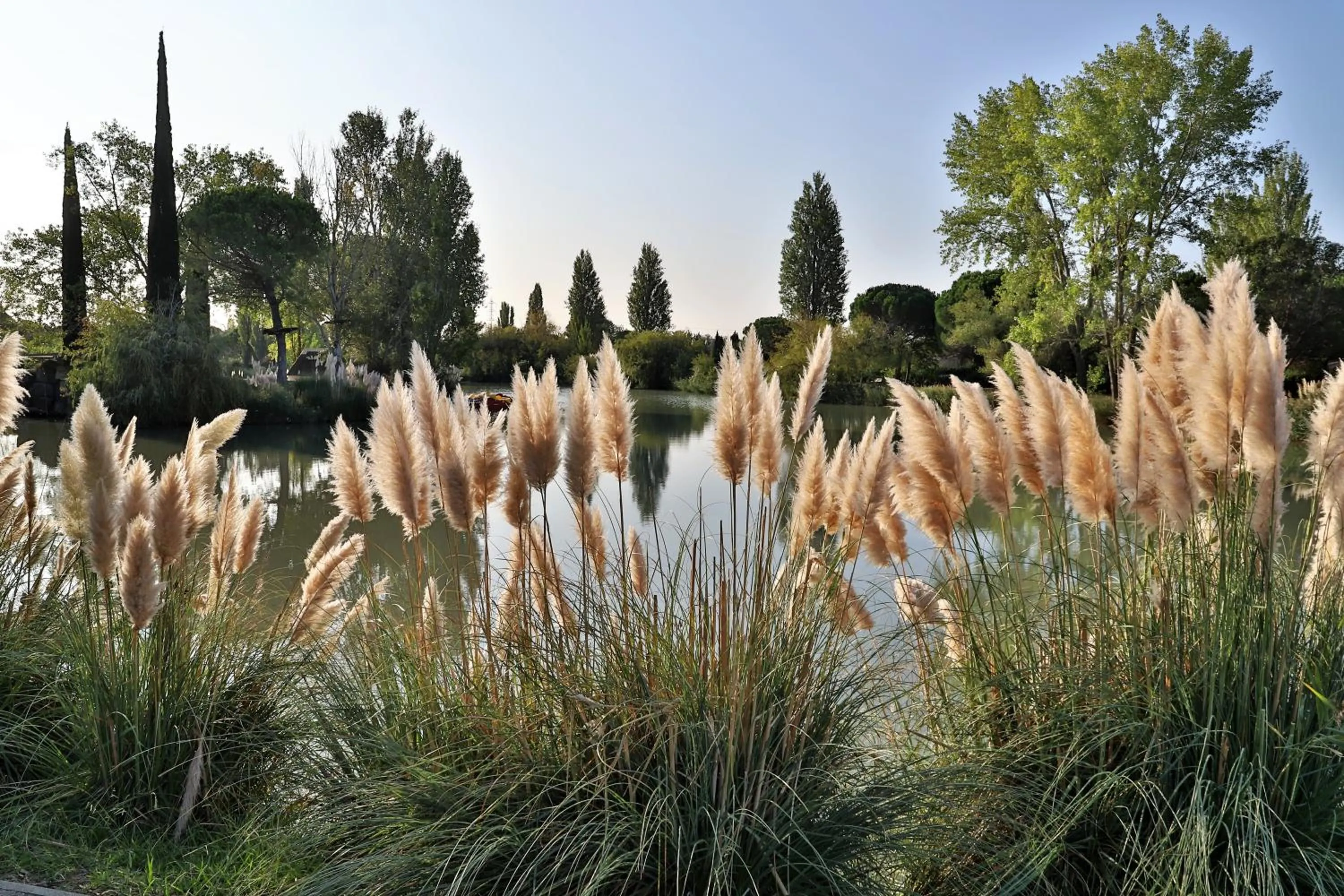 Natural landscape in SOWELL HOTELS L'Olivier