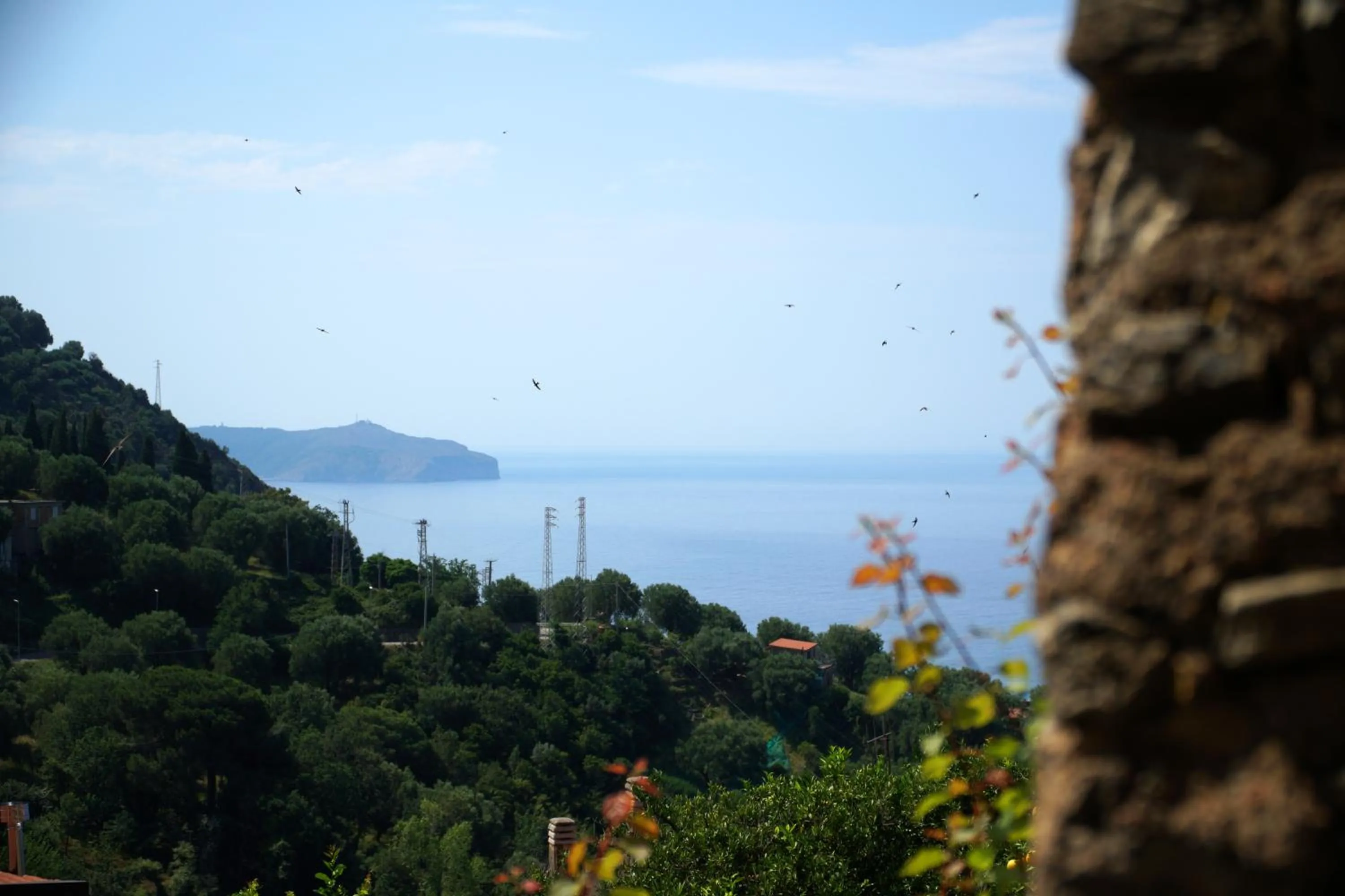 Garden in La Casa sul Blu Albergo Diffuso
