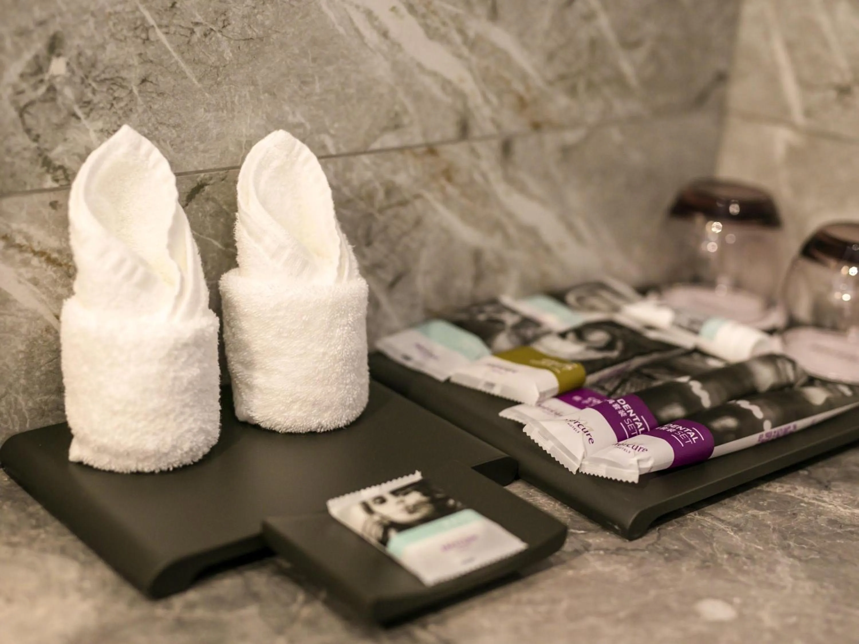 Property building in Mercure Ordos Downtown