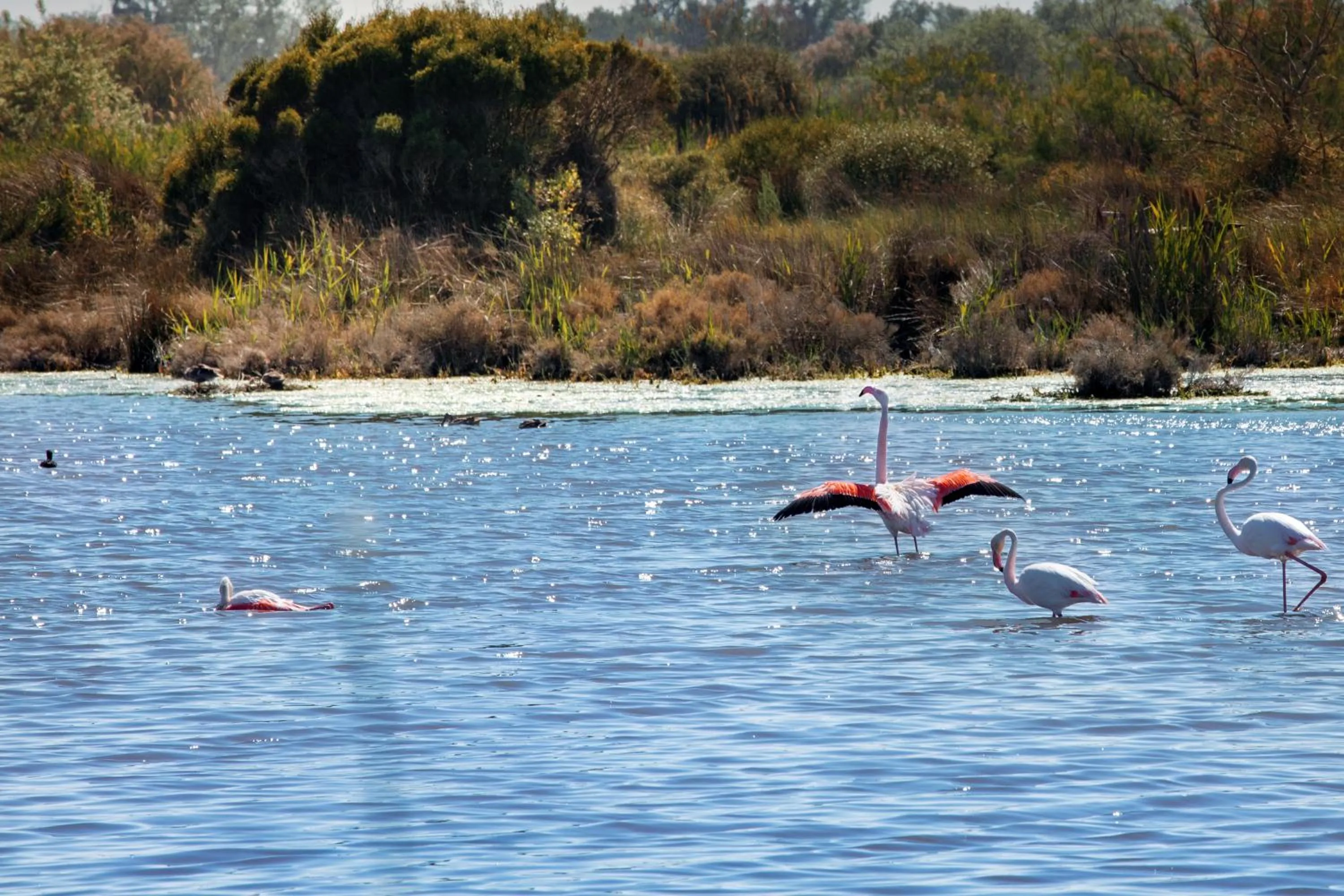 Natural landscape in SOWELL RESIDENCES Les Mazets