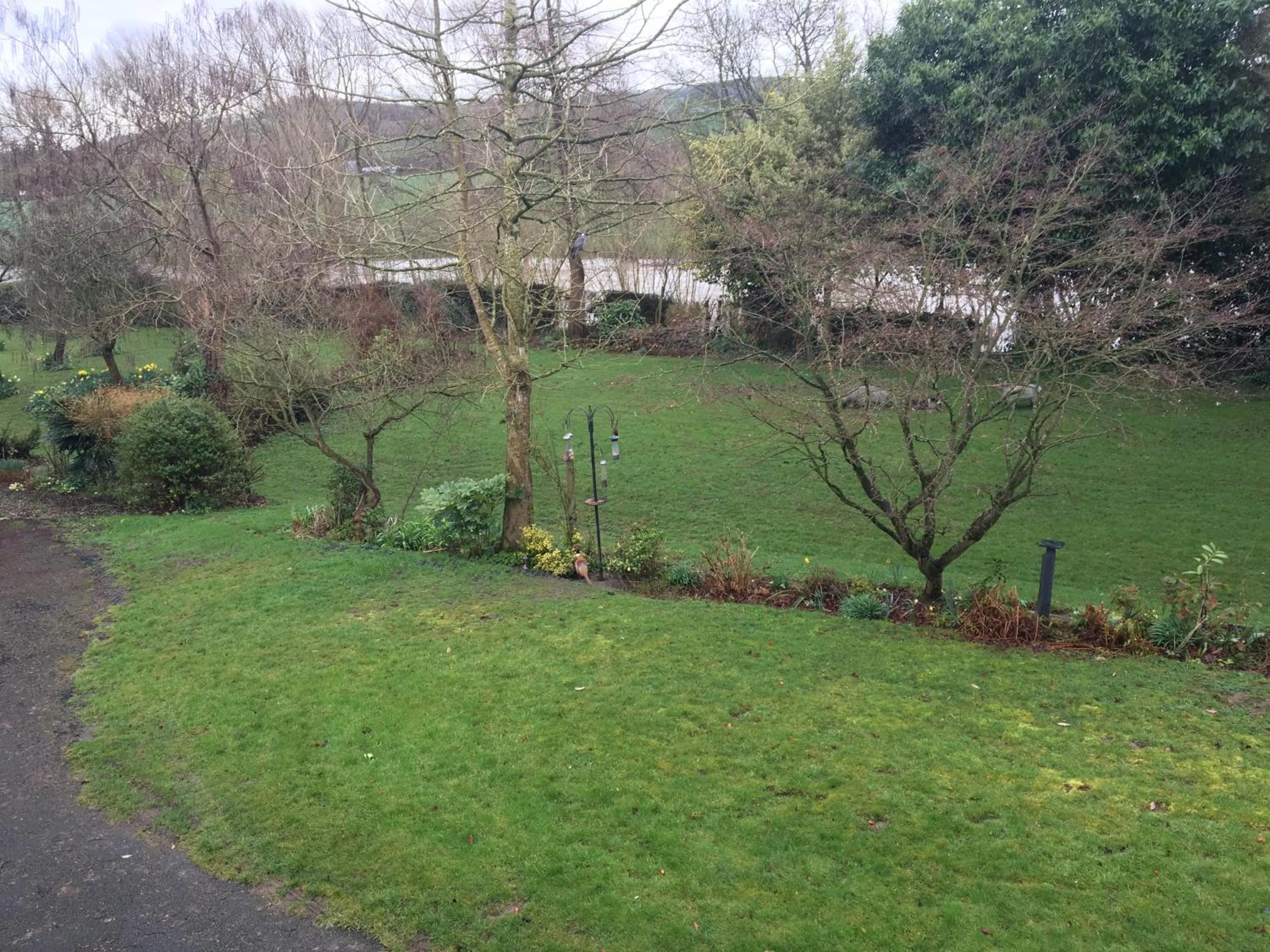 Garden in Bron Hafren