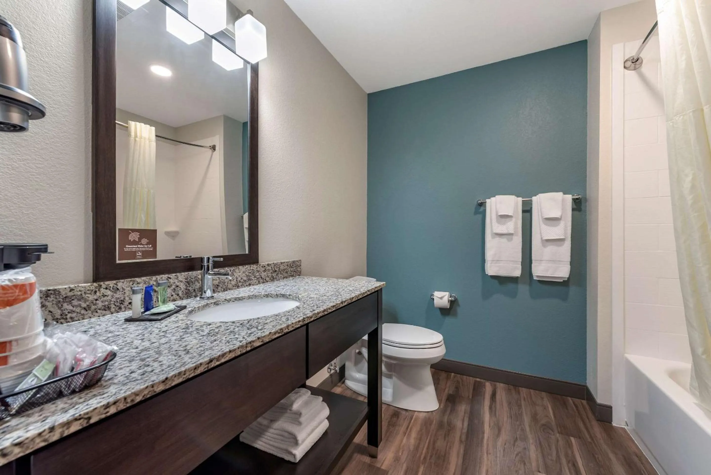 Bathroom in Sleep Inn Newberry - Crane