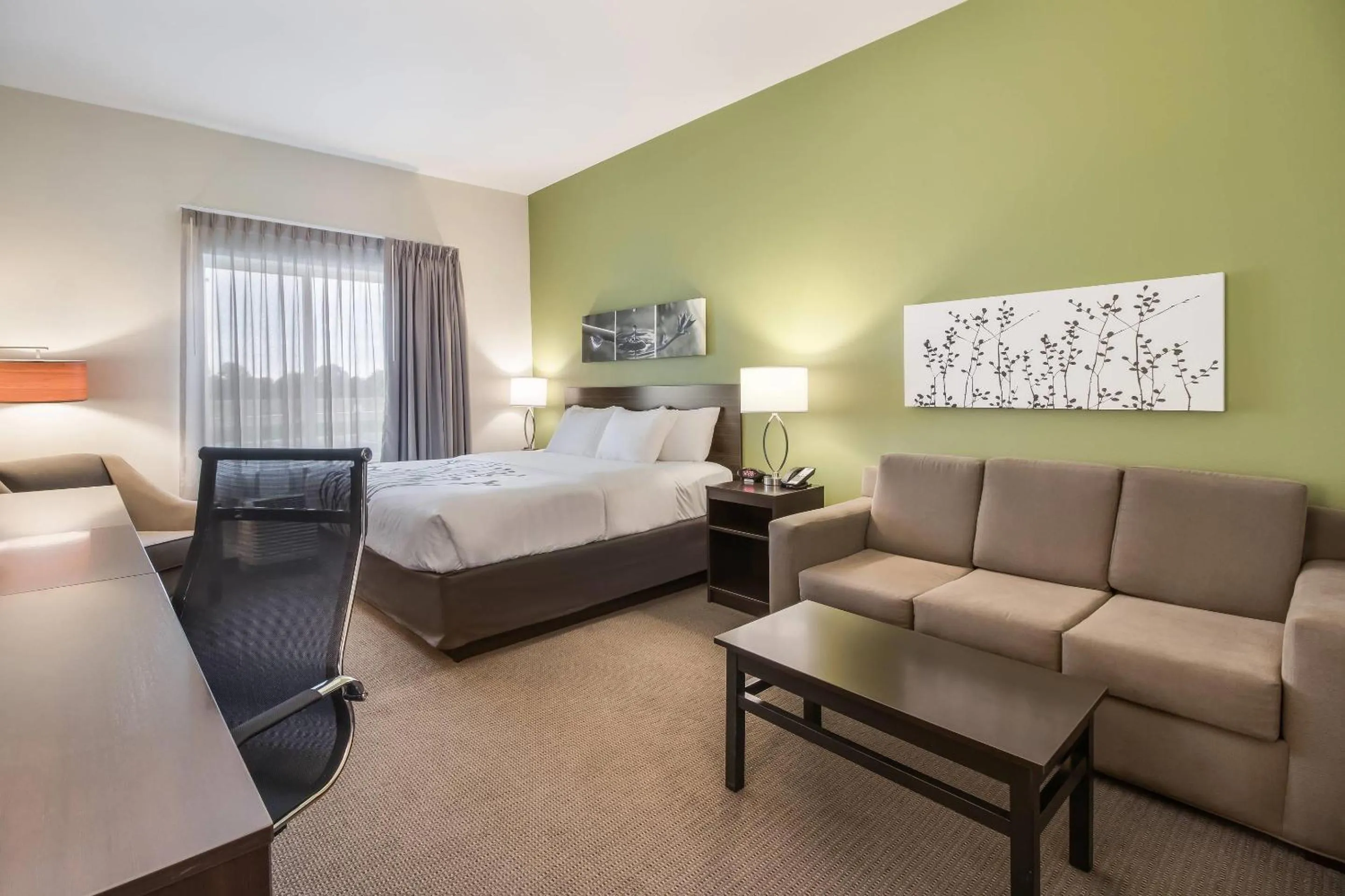 Bedroom, Bed in Sleep Inn at Discovery Park of America