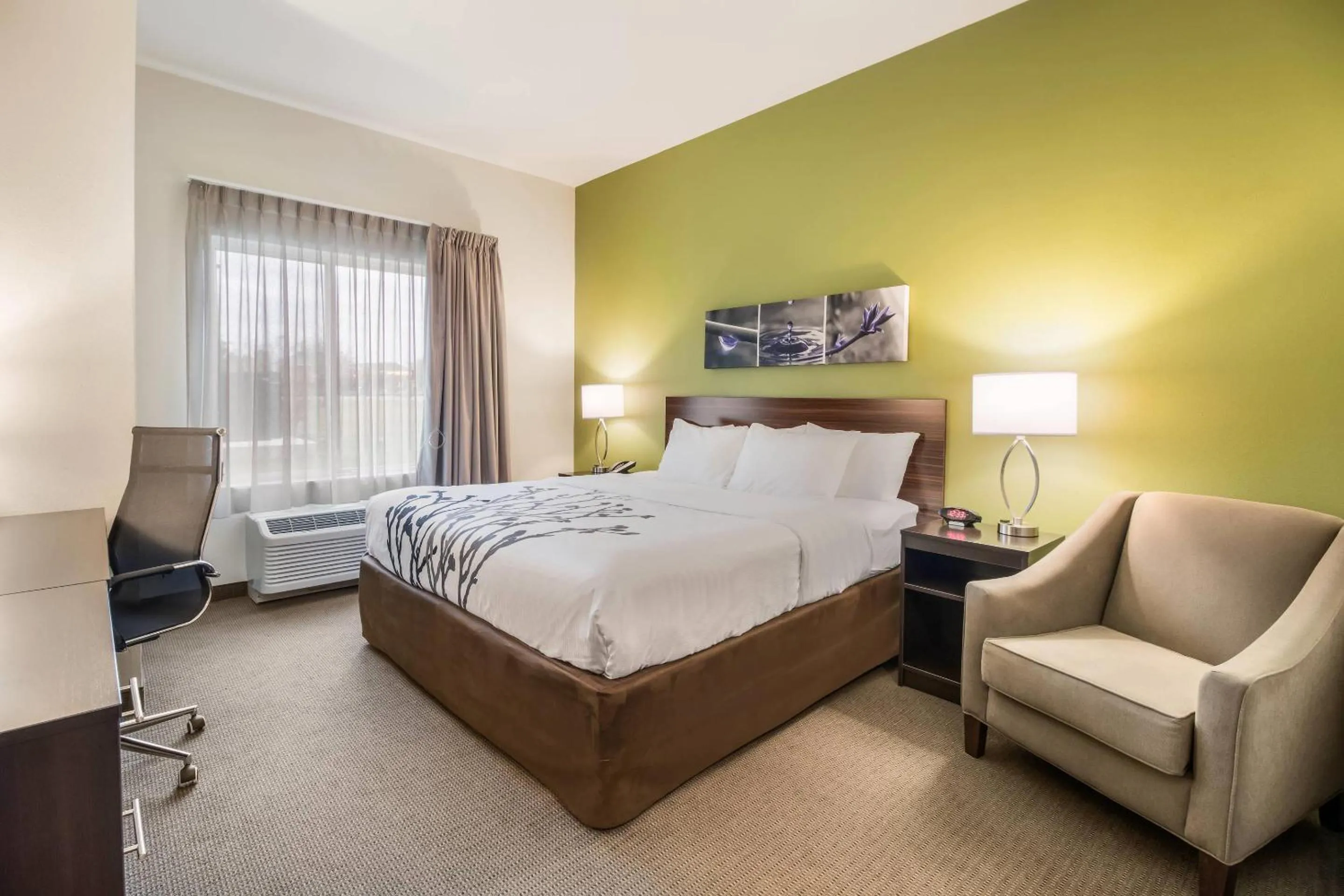 Bedroom, Bed in Sleep Inn at Discovery Park of America