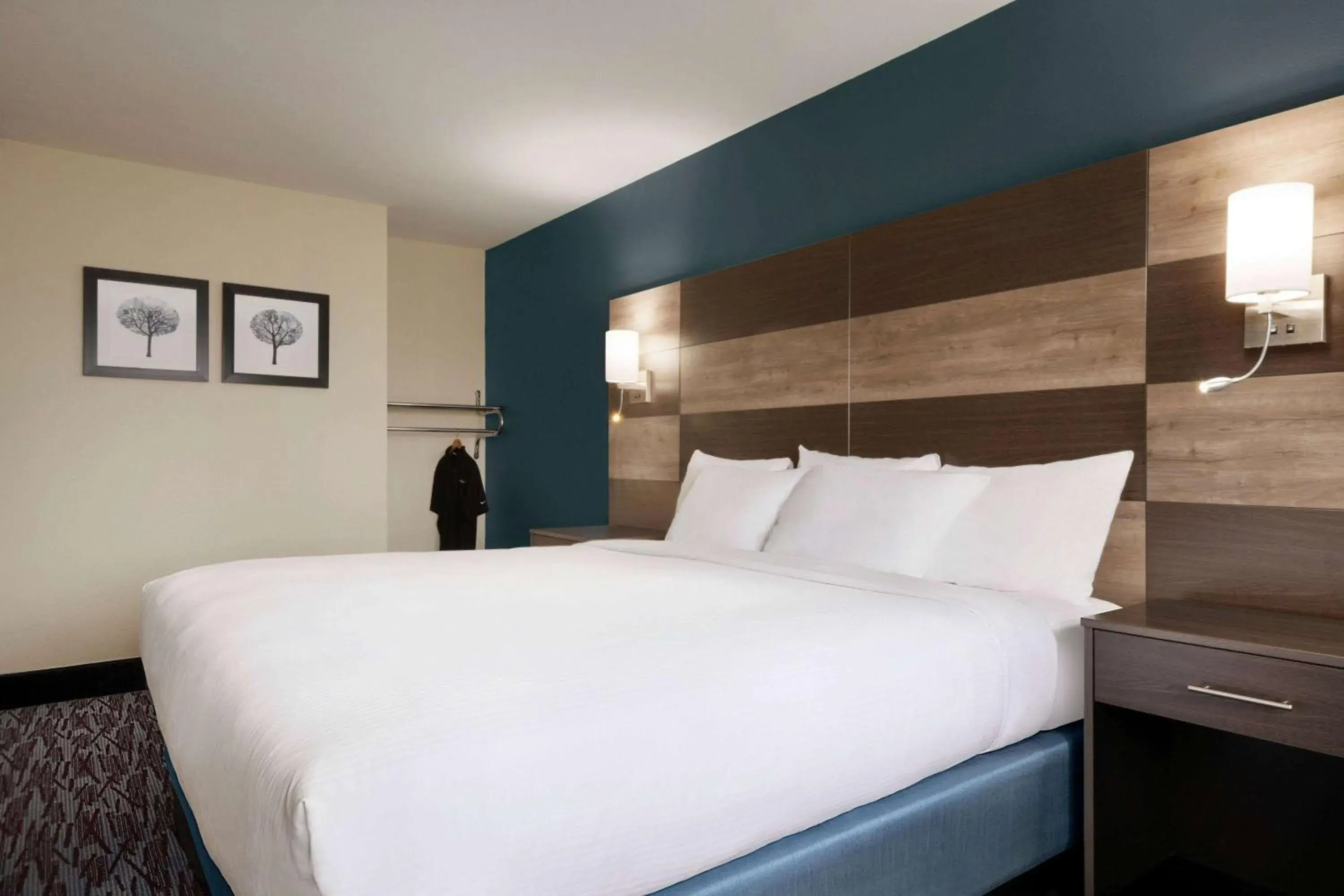 Photo of the whole room, Bed in AmericInn by Wyndham Dodgeville Photo of the whole room, Bed in AmericInn by Wyndham Dodgeville